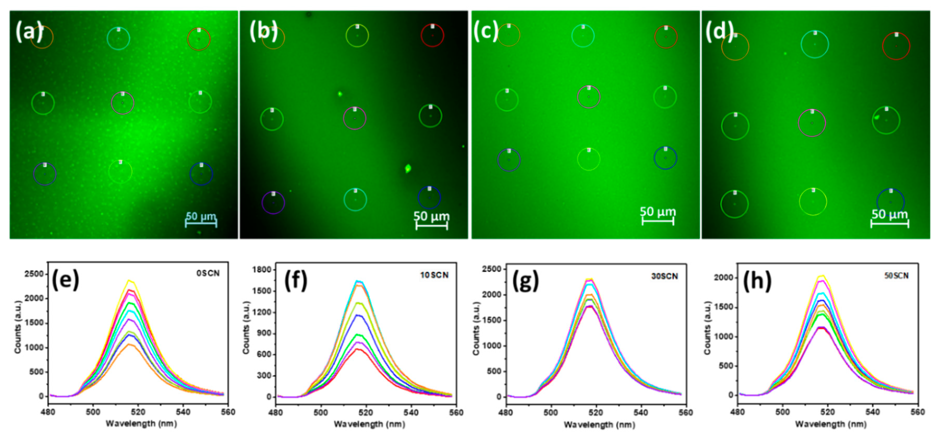 Materials 13 00367 g002