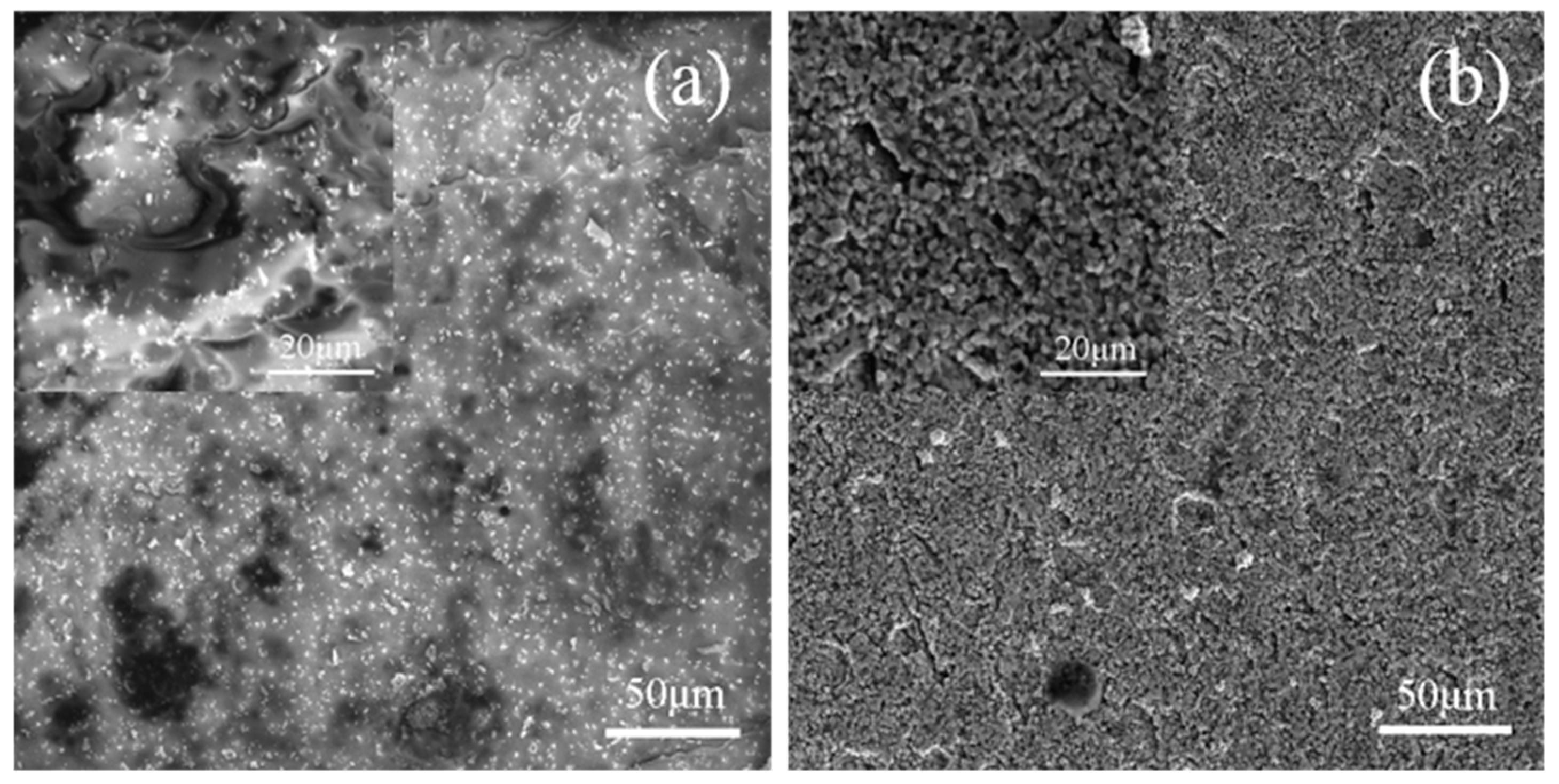 Materials 13 00370 g006