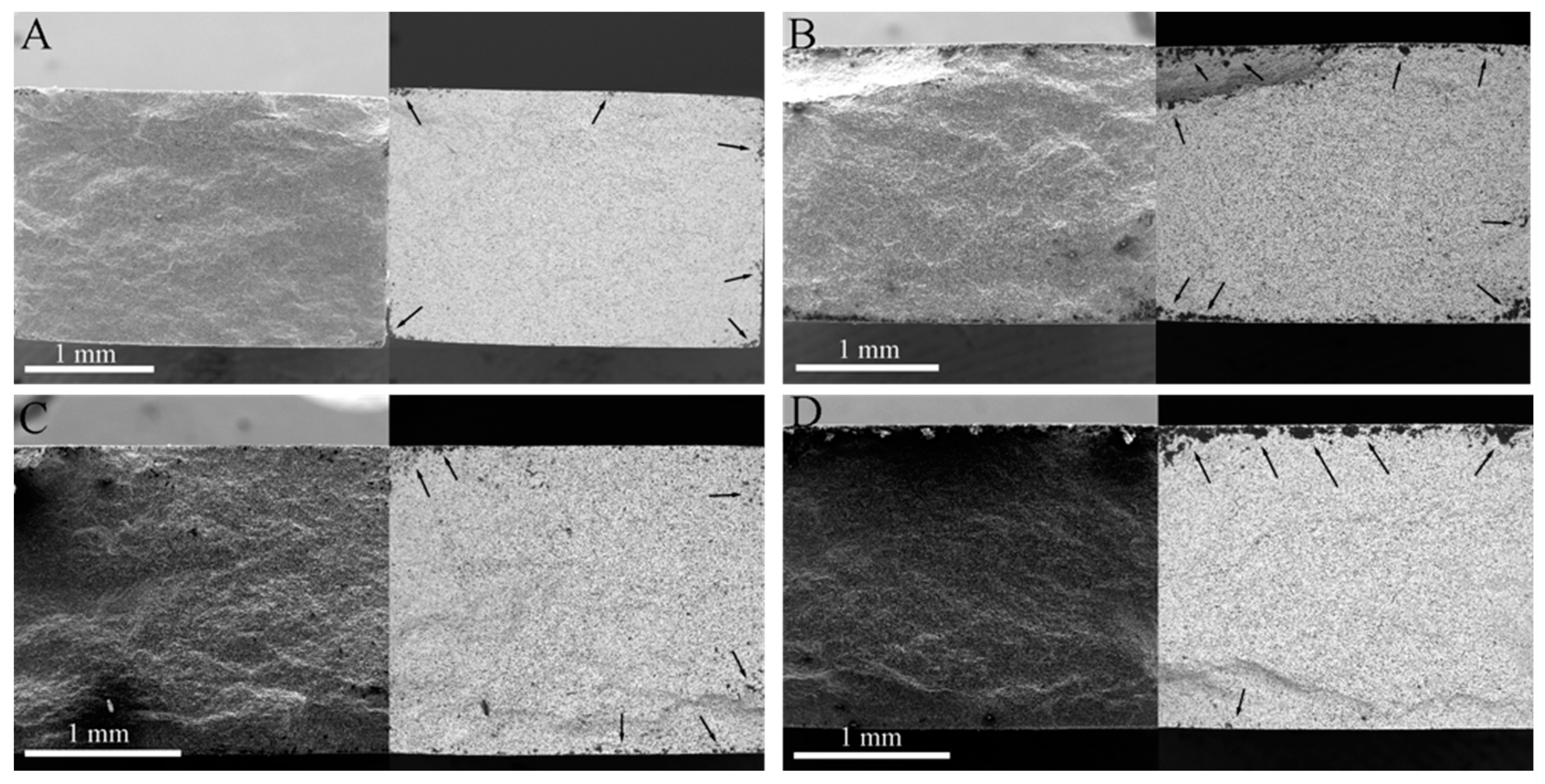 Materials 13 00370 g010