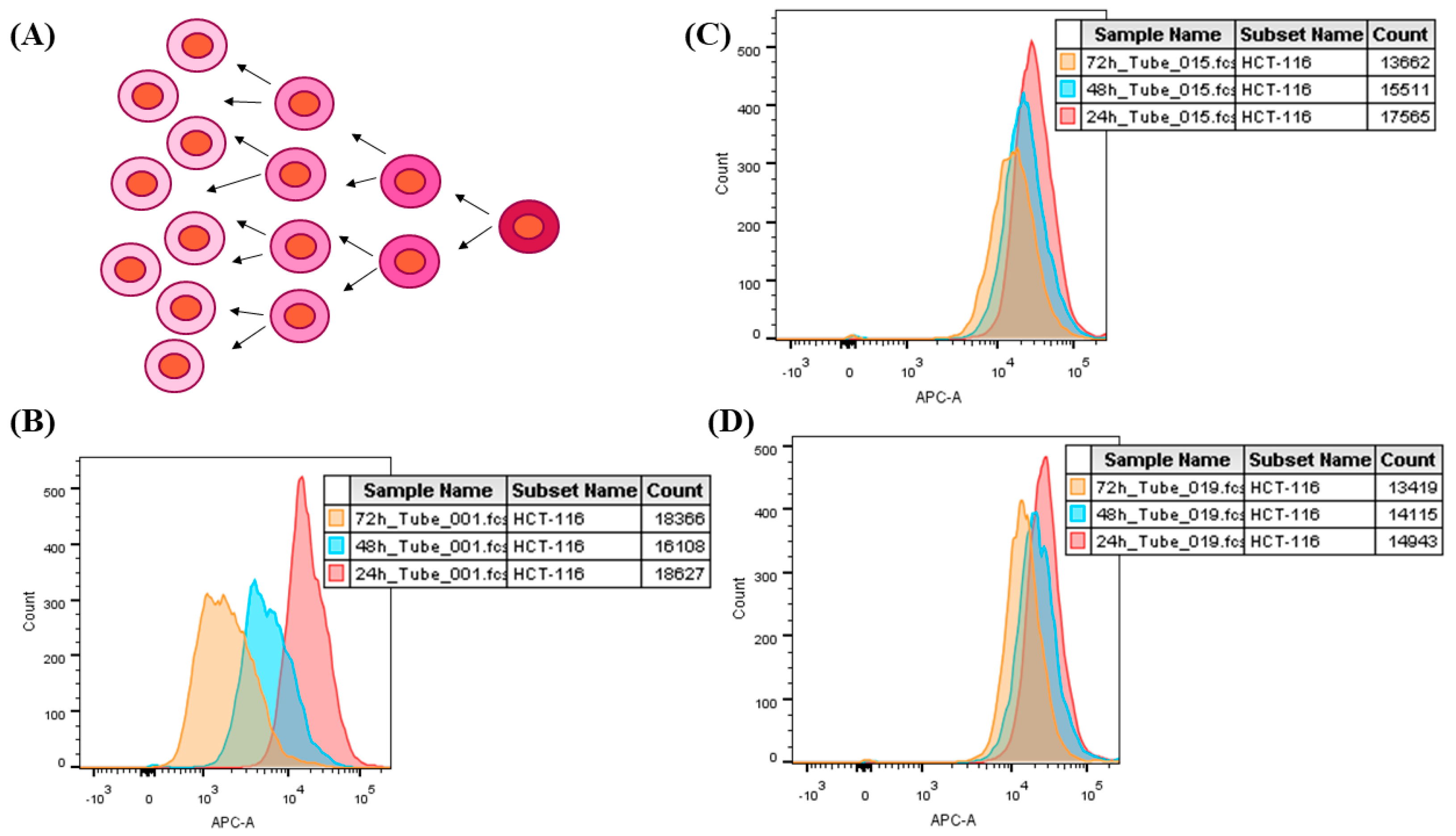 Materials 13 00375 g005