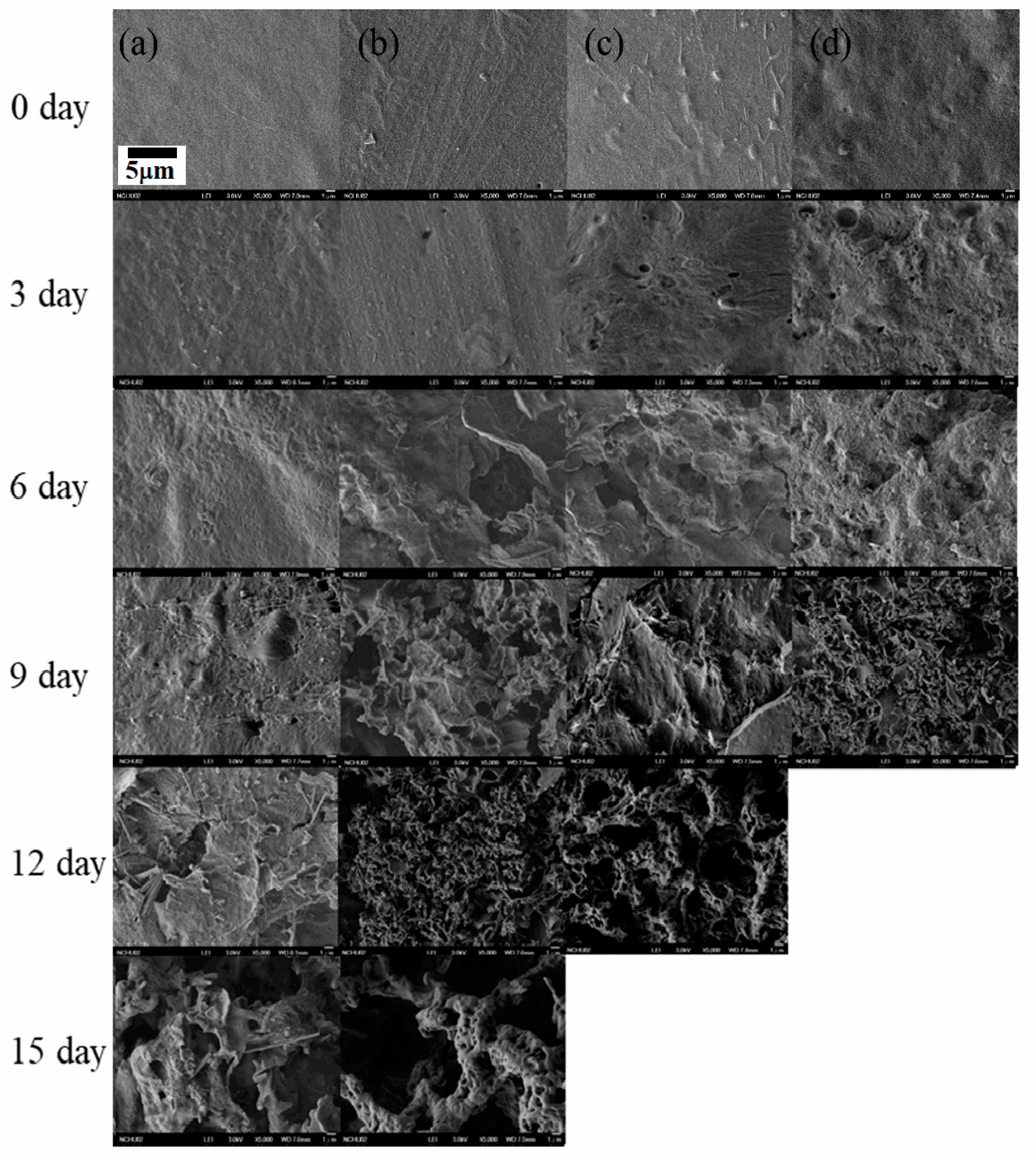 Materials 13 00376 g006