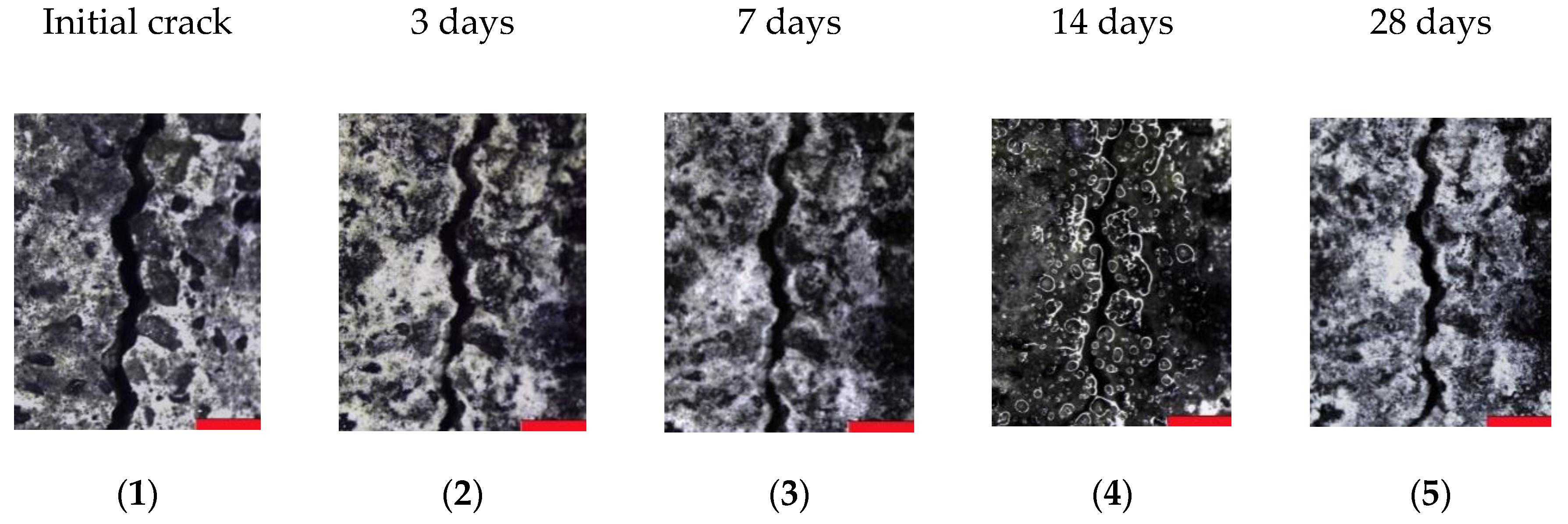 Materials 13 00380 g005