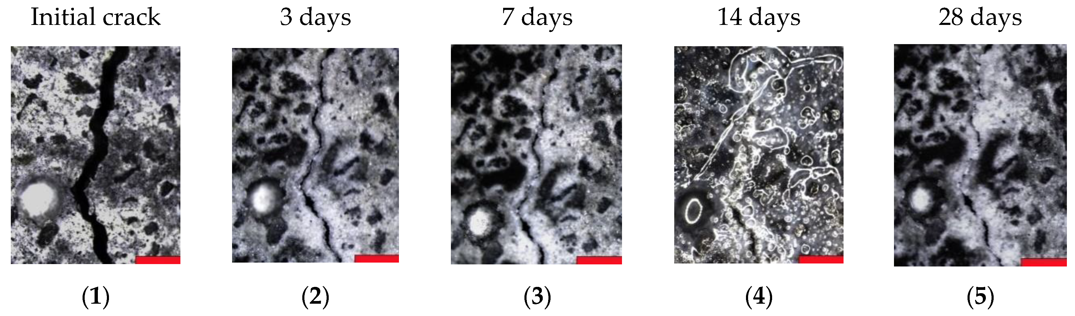 Materials 13 00380 g006