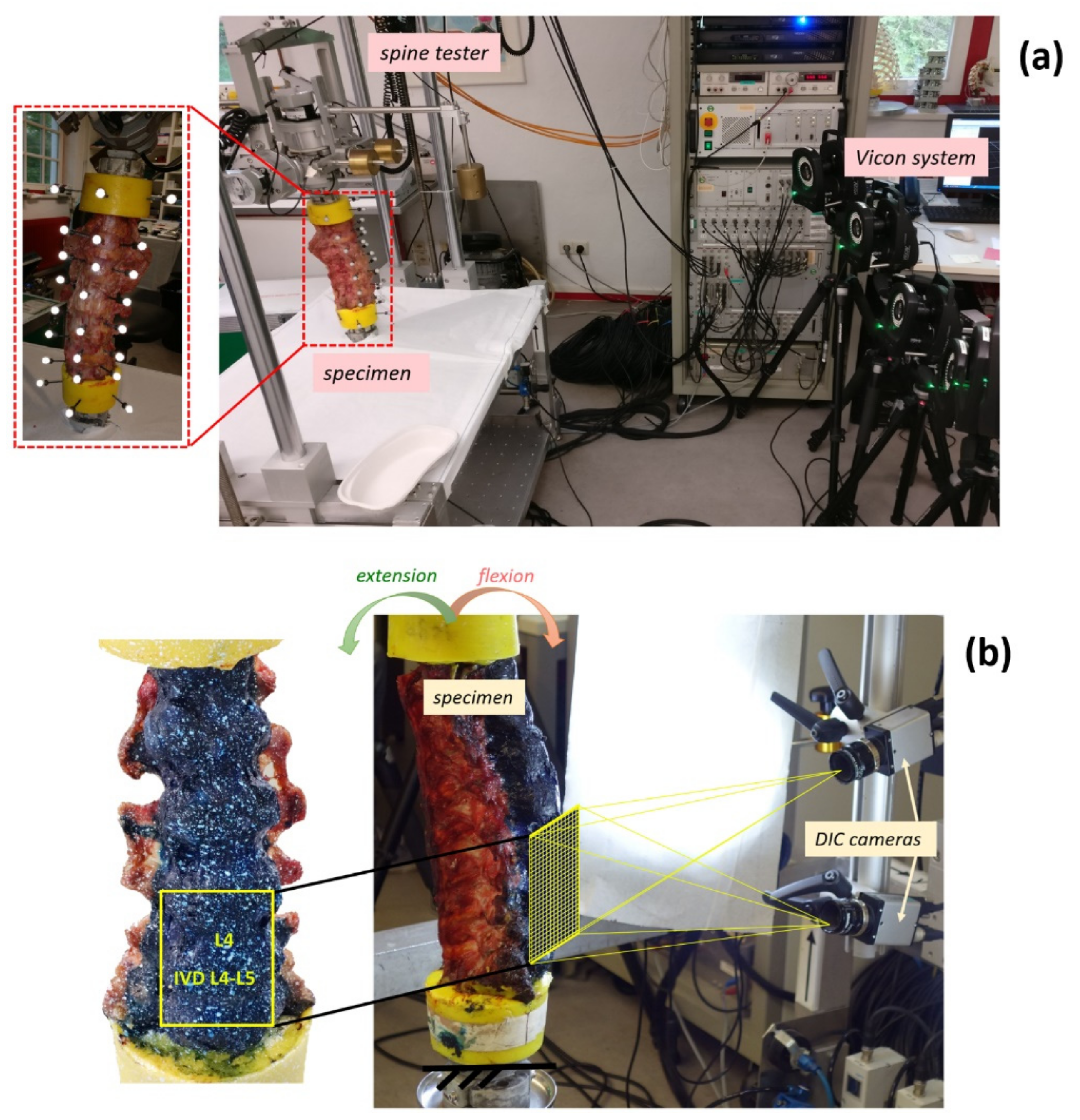 Materials 13 00384 g001