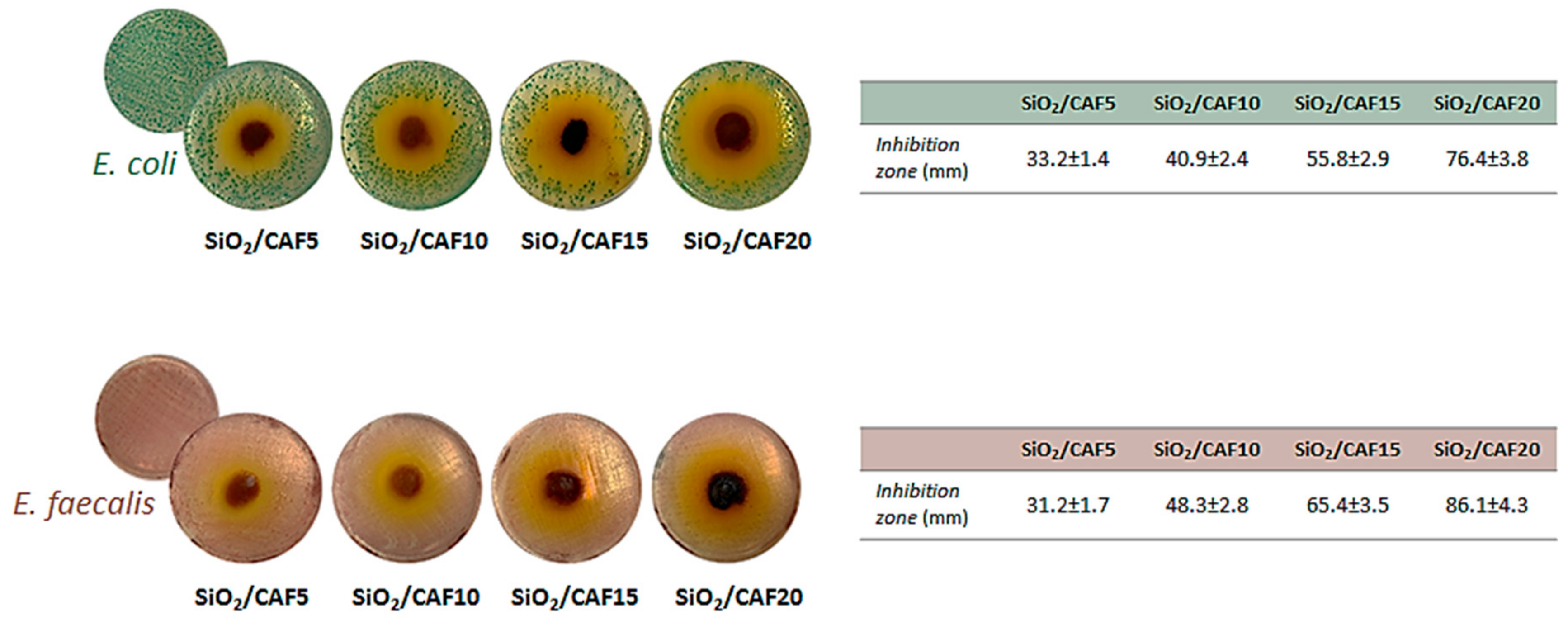 Materials 13 00394 g007
