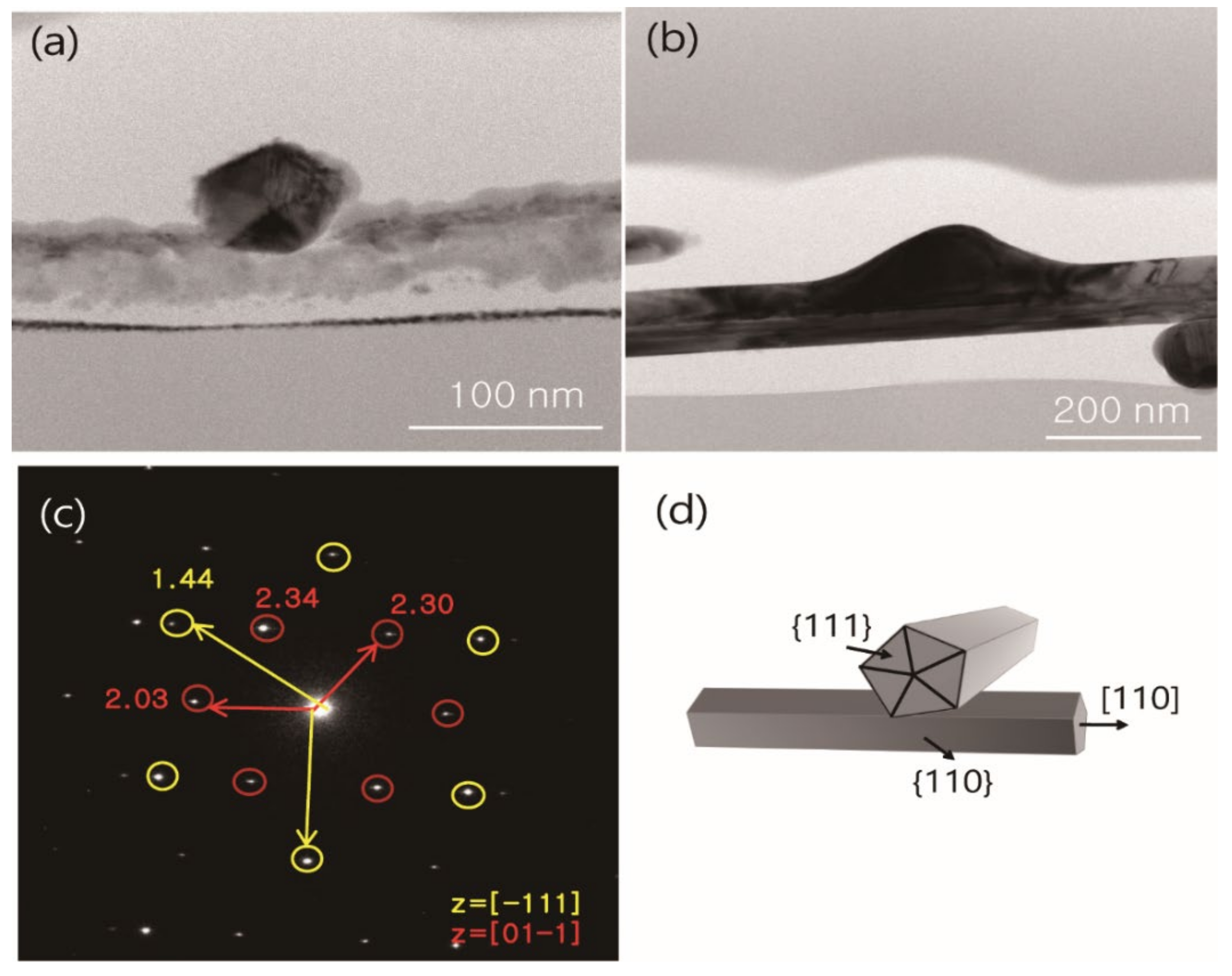 Materials 13 00404 g006