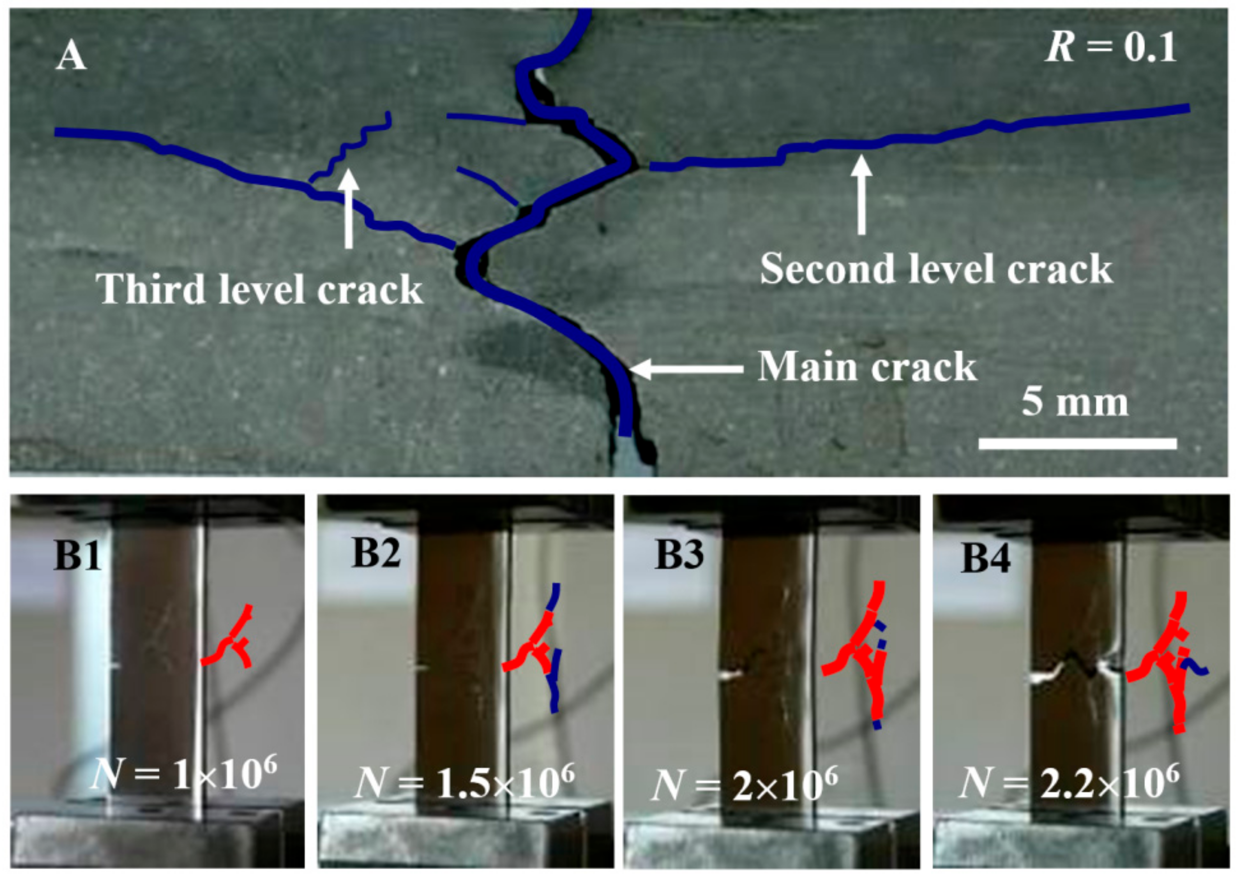 Materials 13 00406 g006