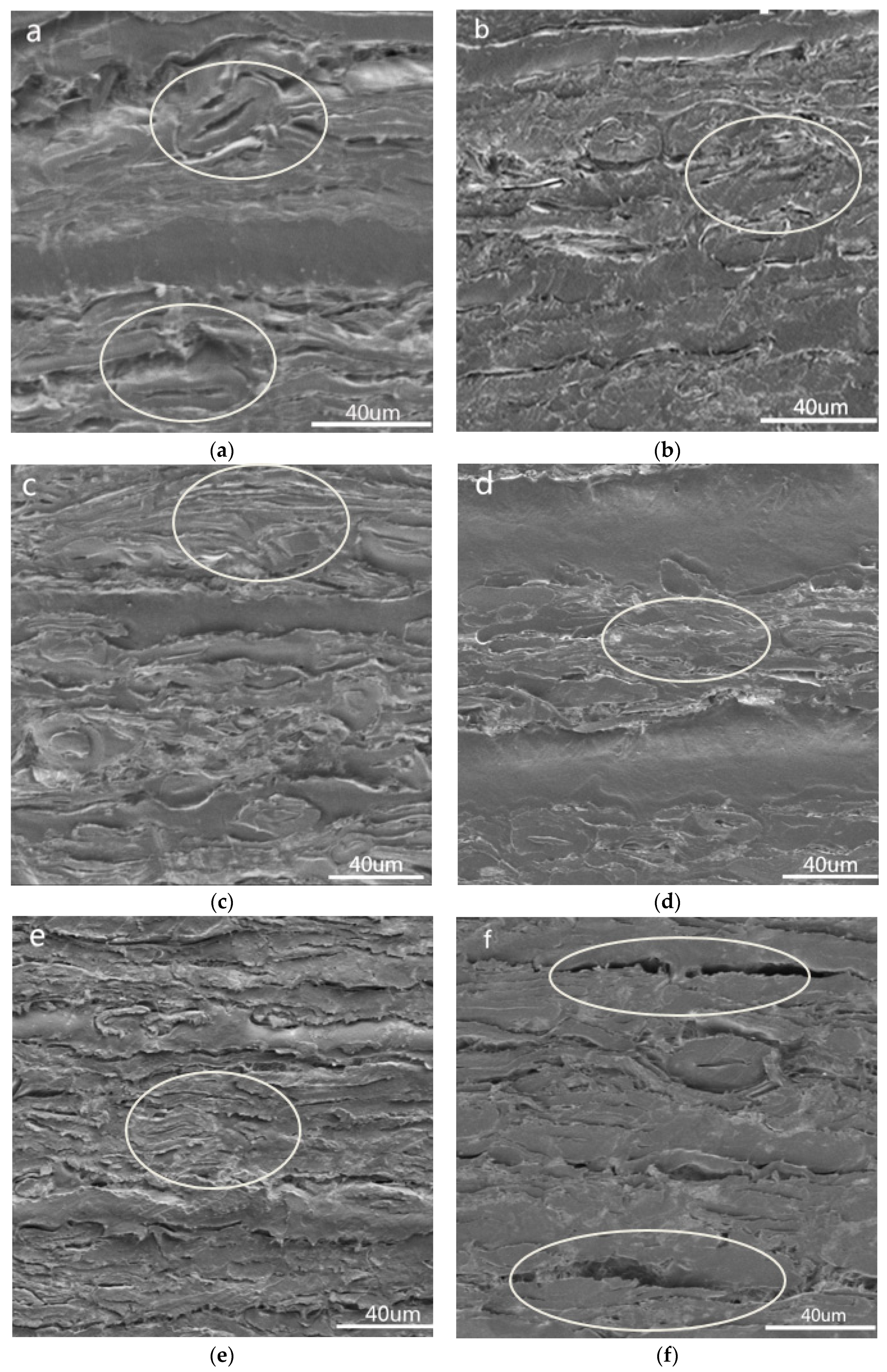 Materials 13 00413 g005
