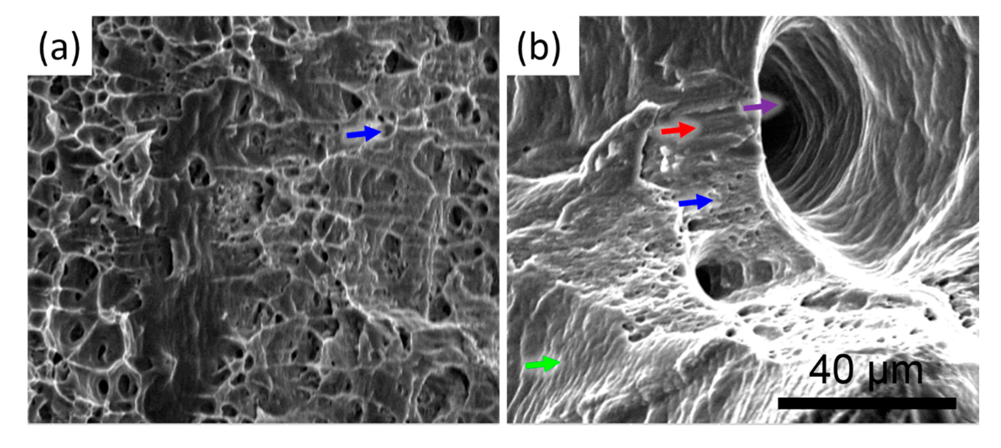 Materials 13 00414 g008