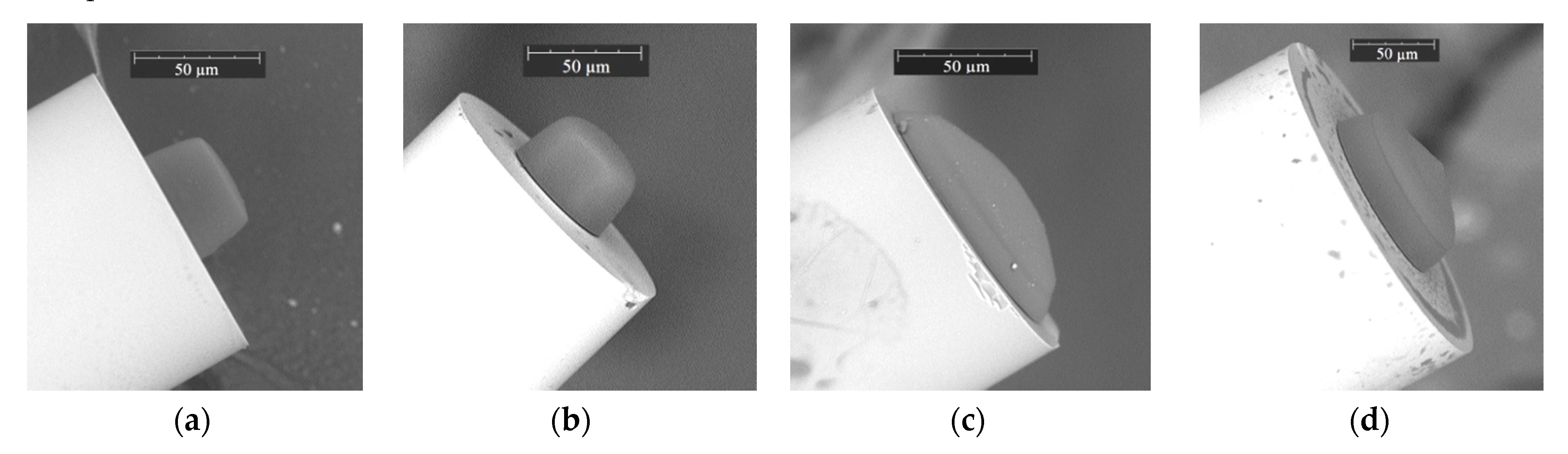Materials 13 00416 g004
