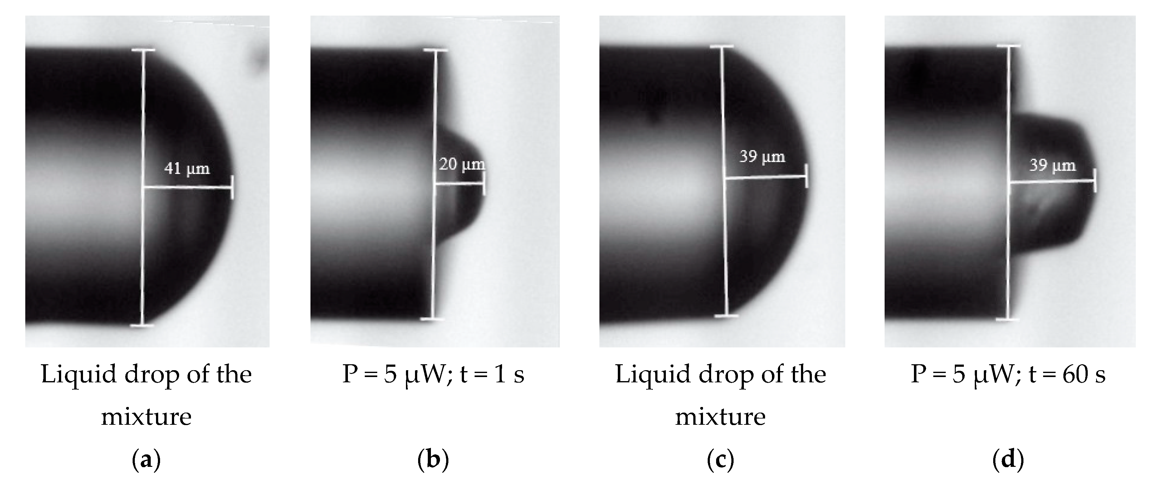 Materials 13 00416 g005