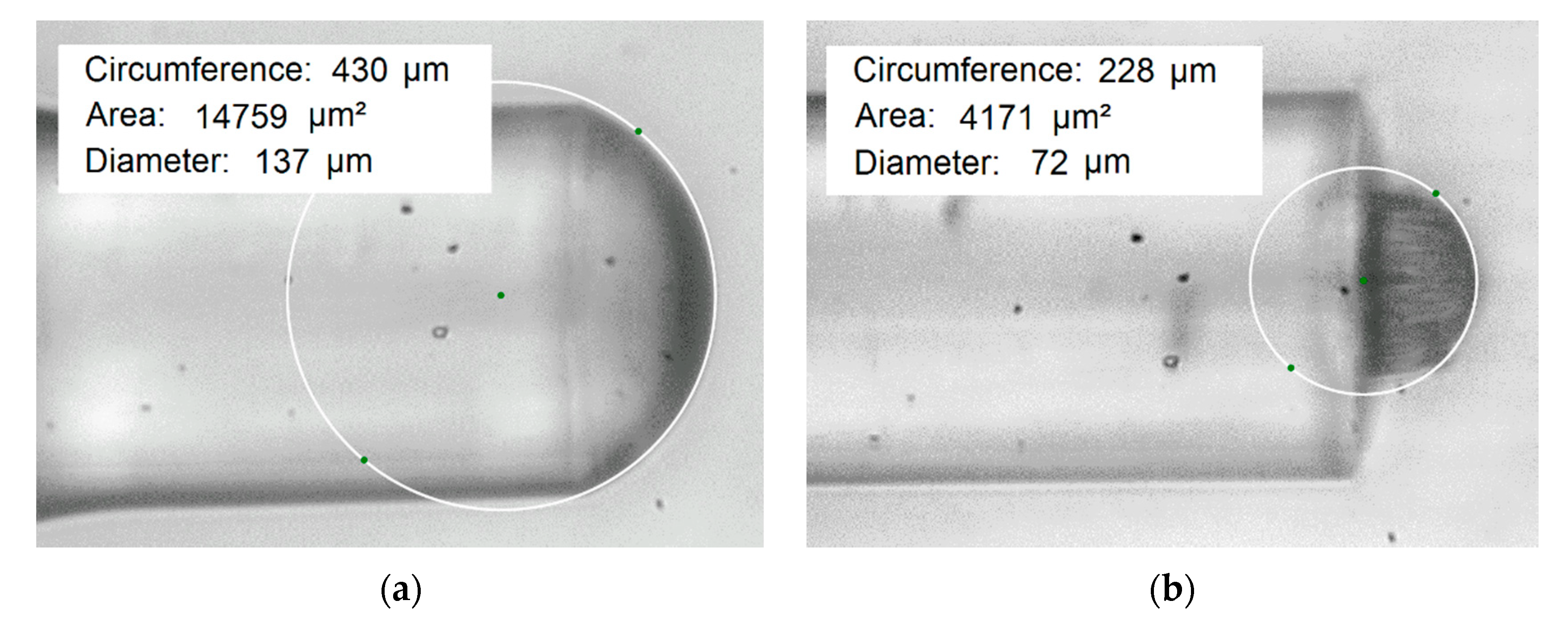 Materials 13 00416 g006