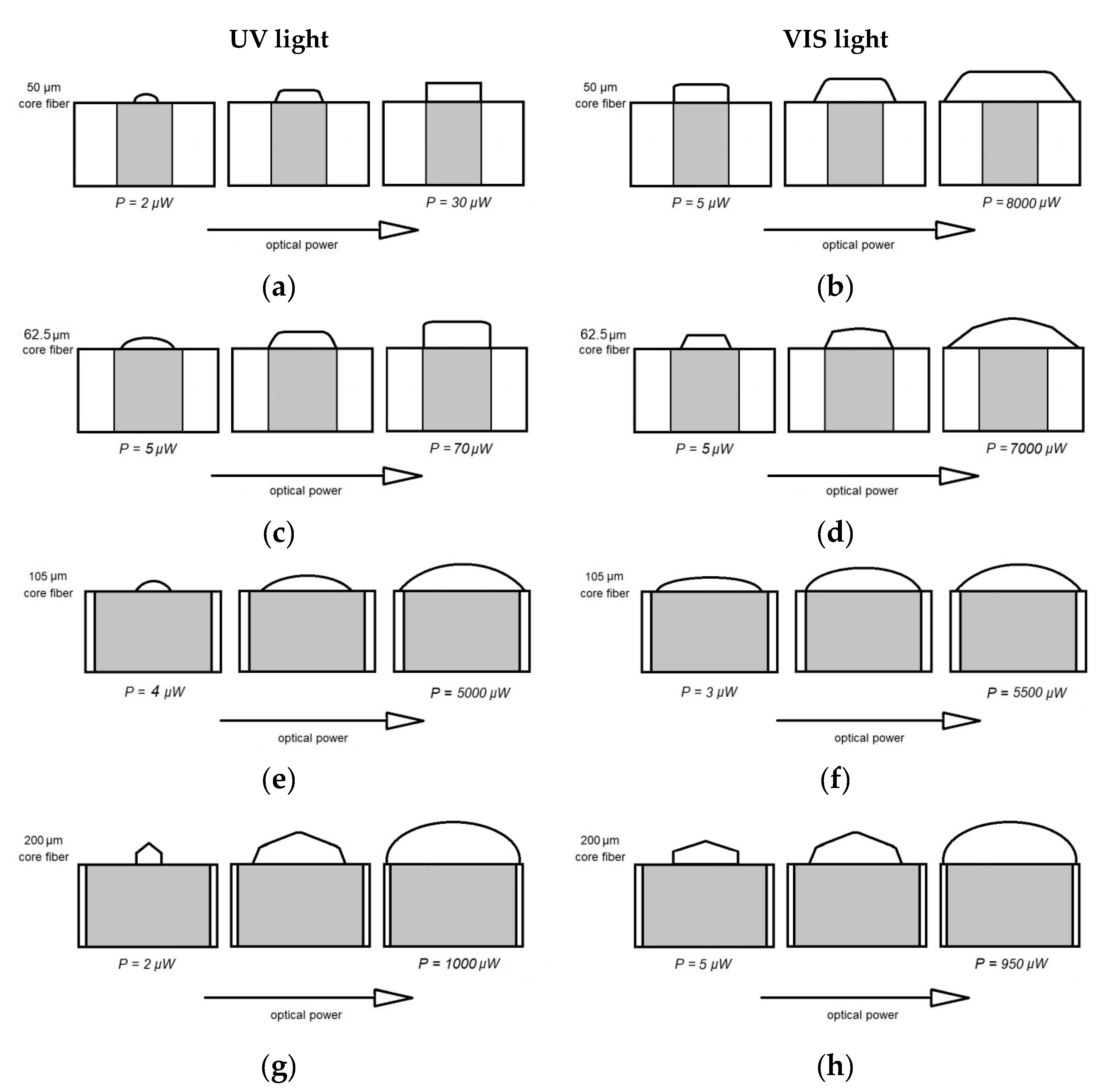 Materials 13 00416 g008