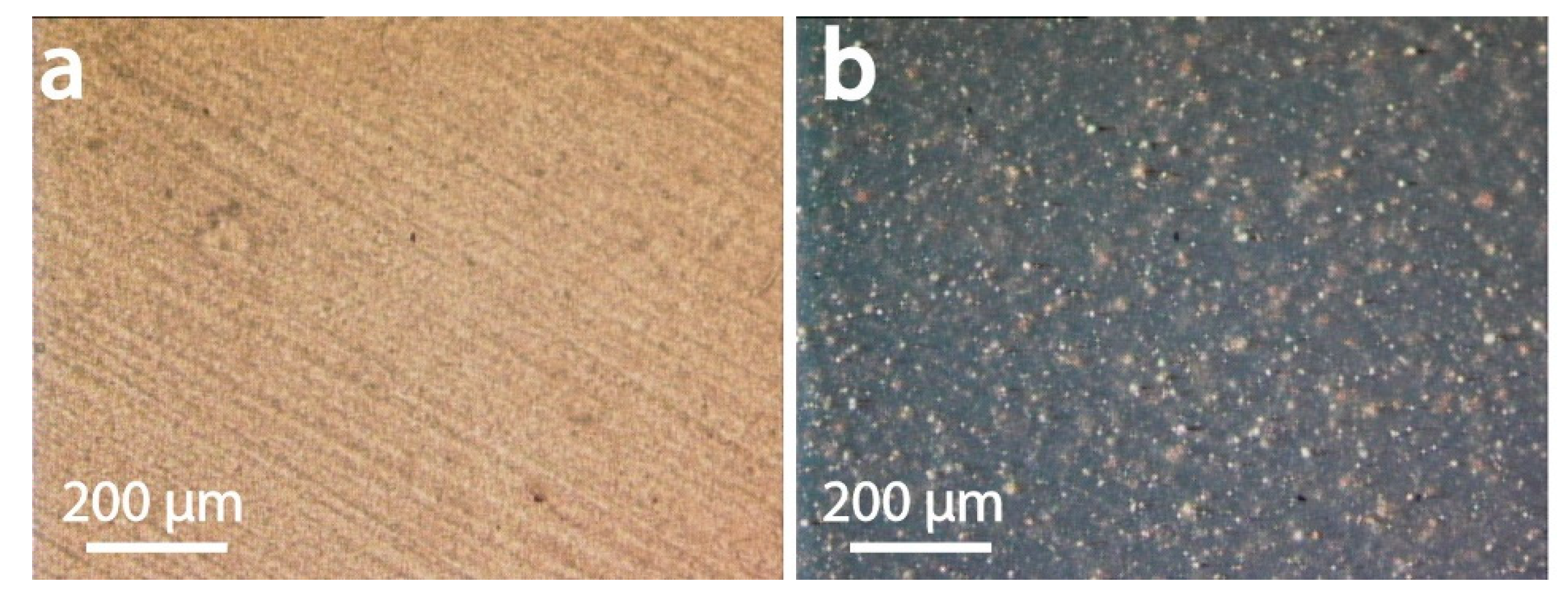 Materials 13 00422 g010