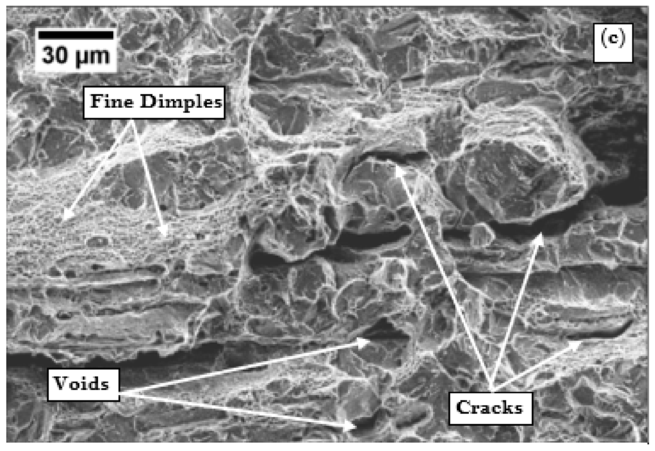 Materials 13 00436 g009b