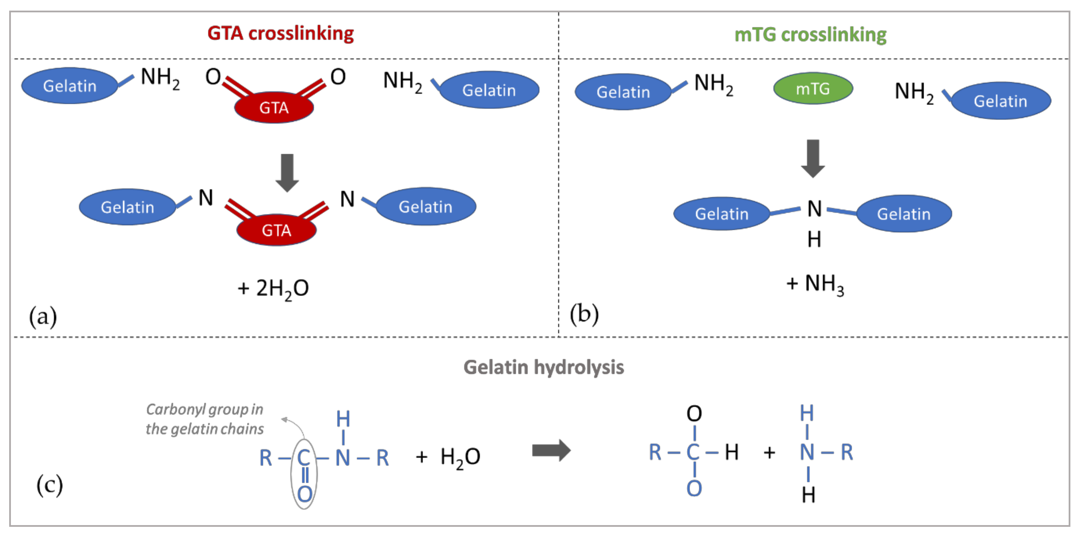 Materials 13 00438 g005