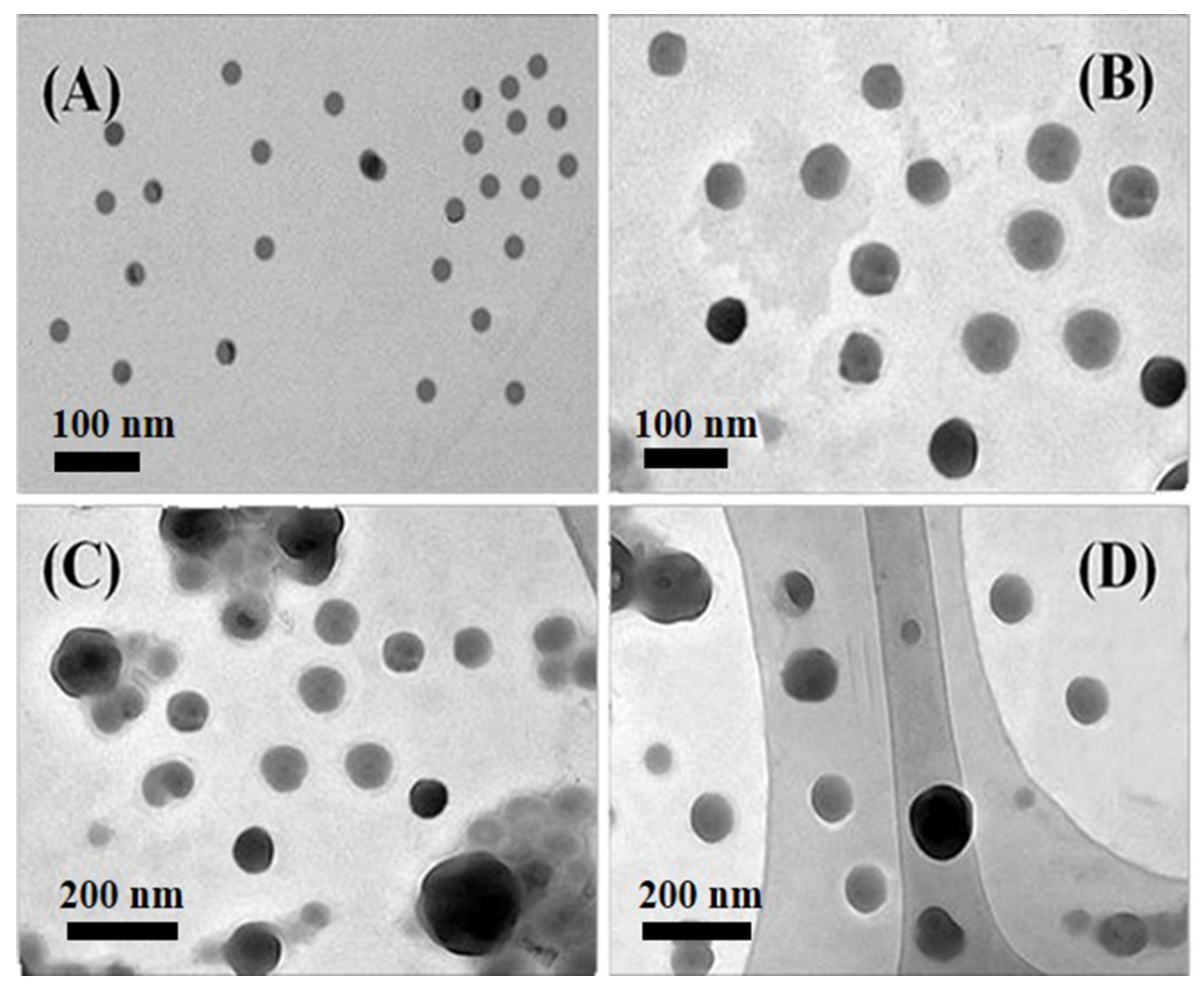 Materials 13 00440 g001