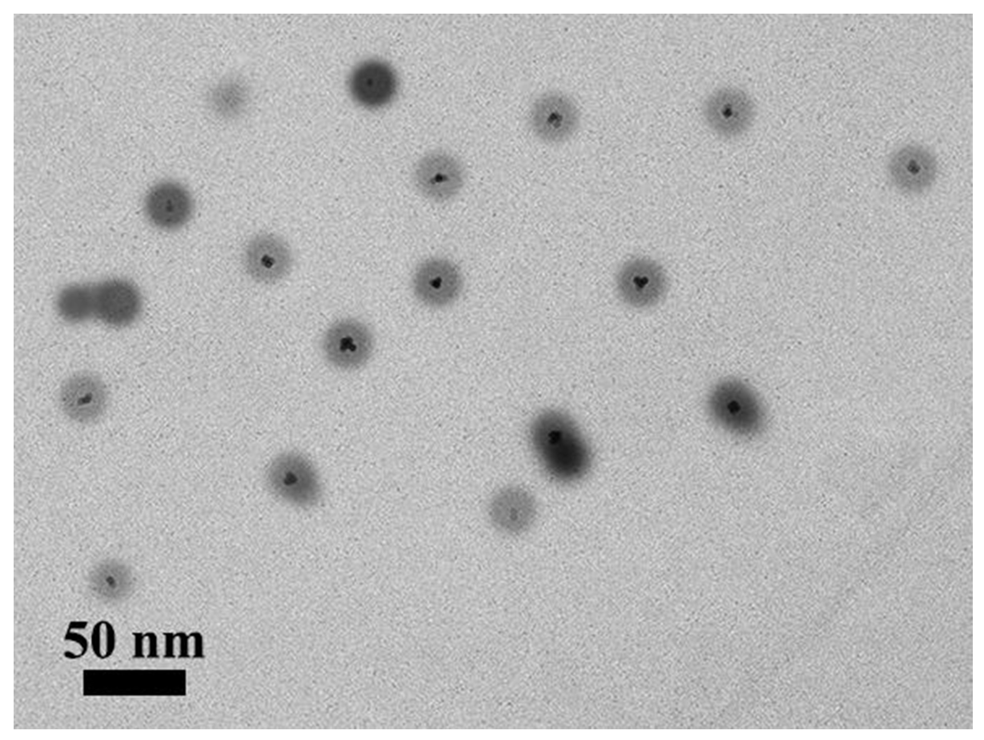 Materials 13 00440 g010