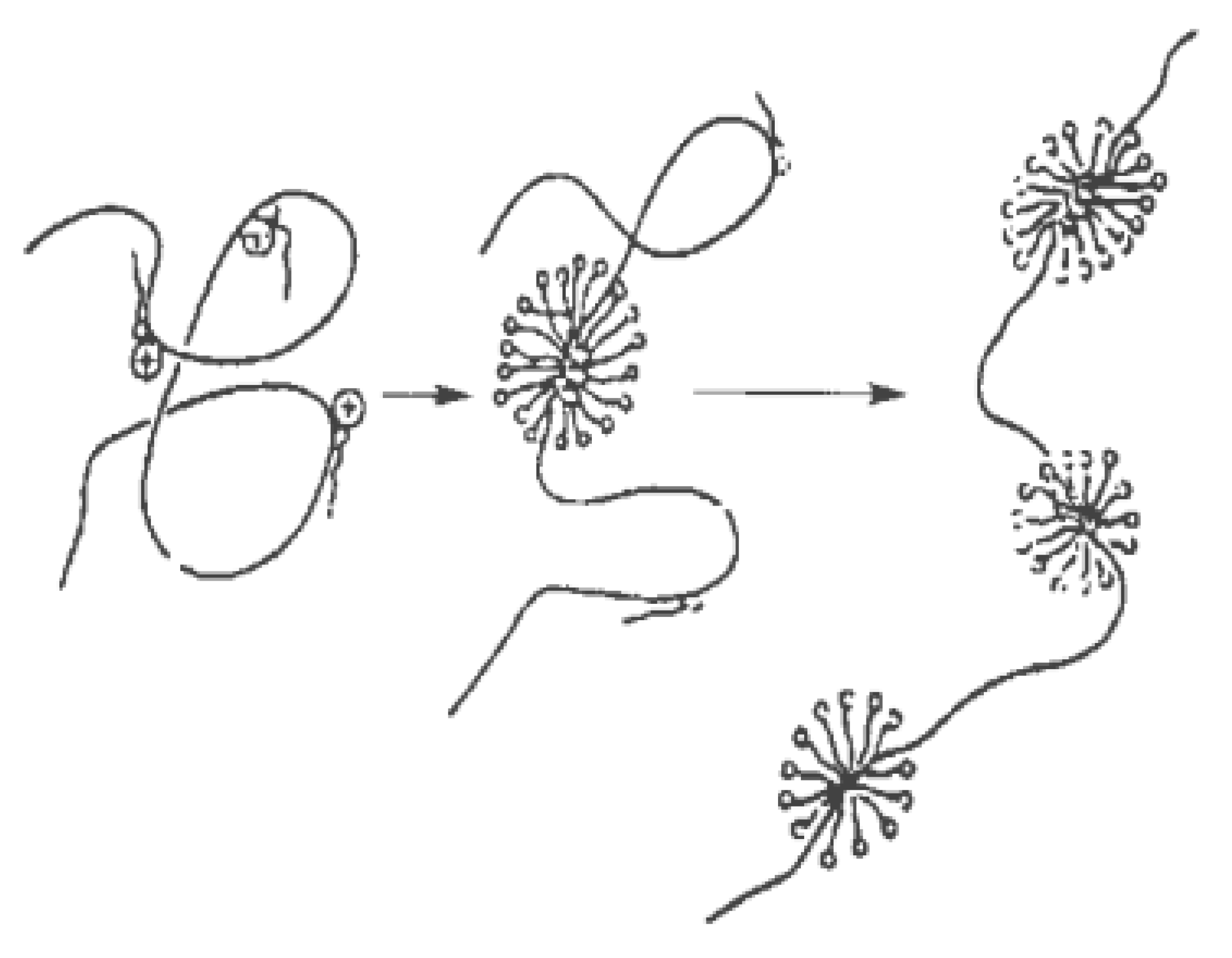 Materials 13 00444 g006