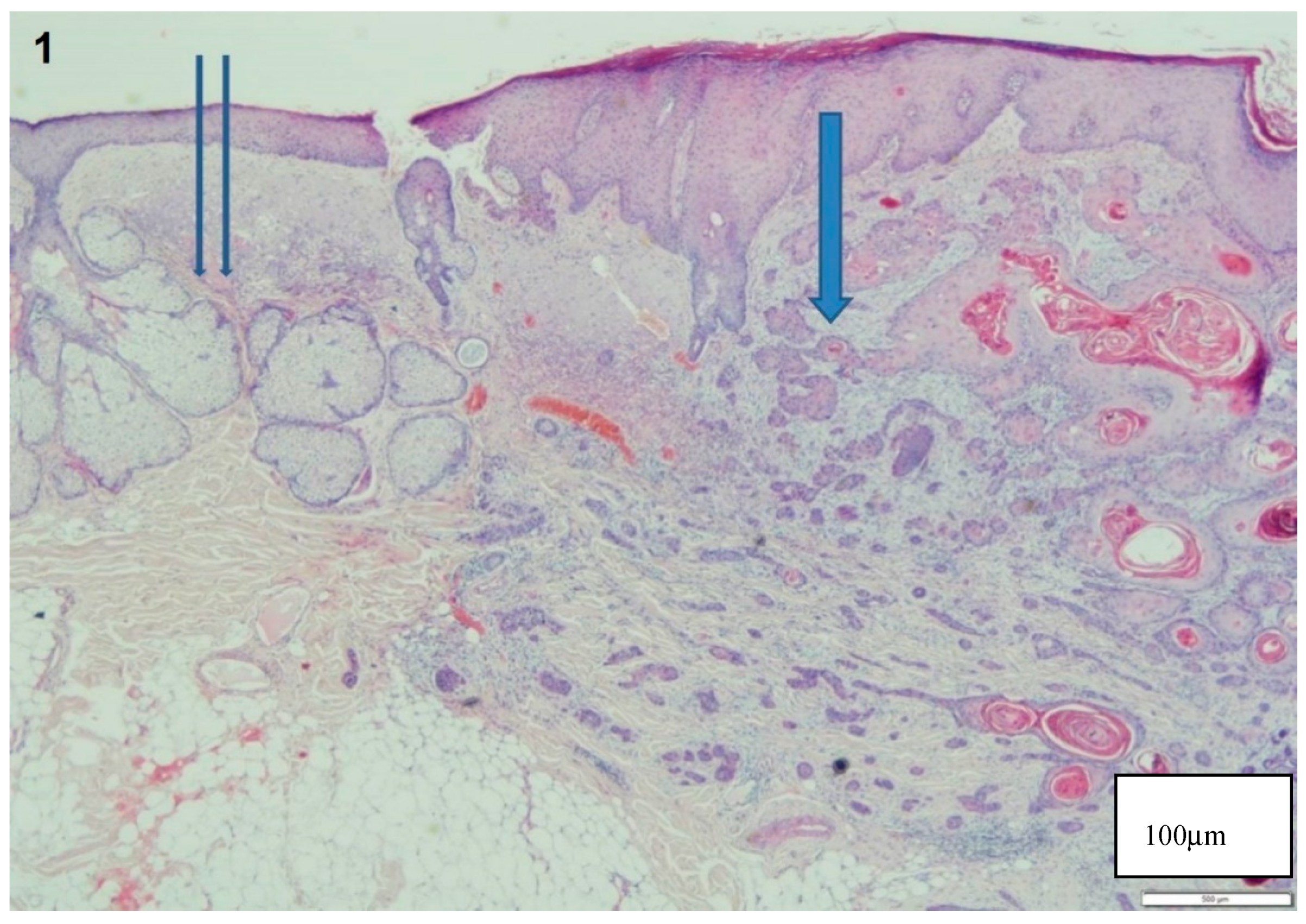 Materials 13 00447 g001