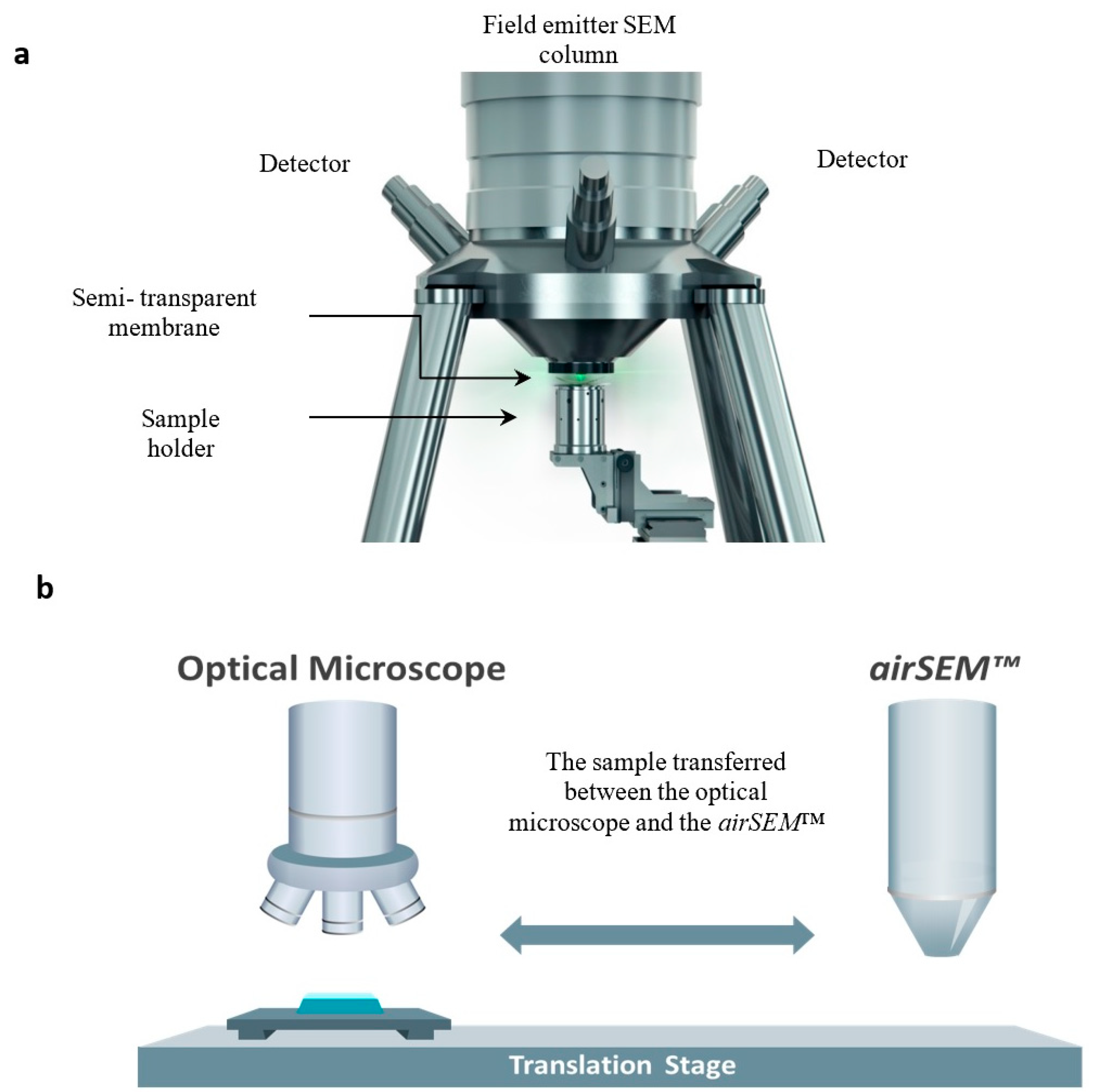 Materials 13 00447 g003