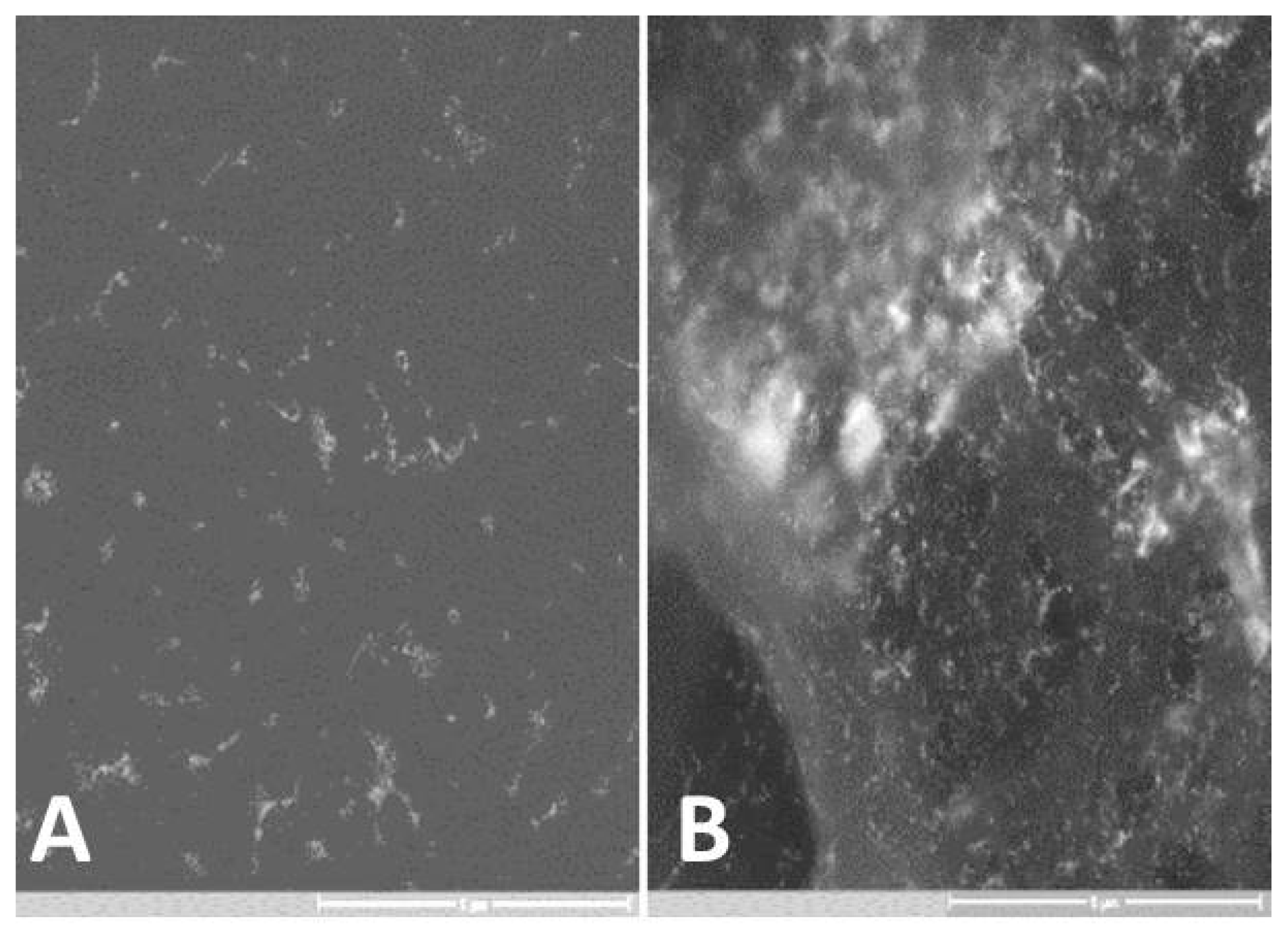 Materials 13 00447 g006