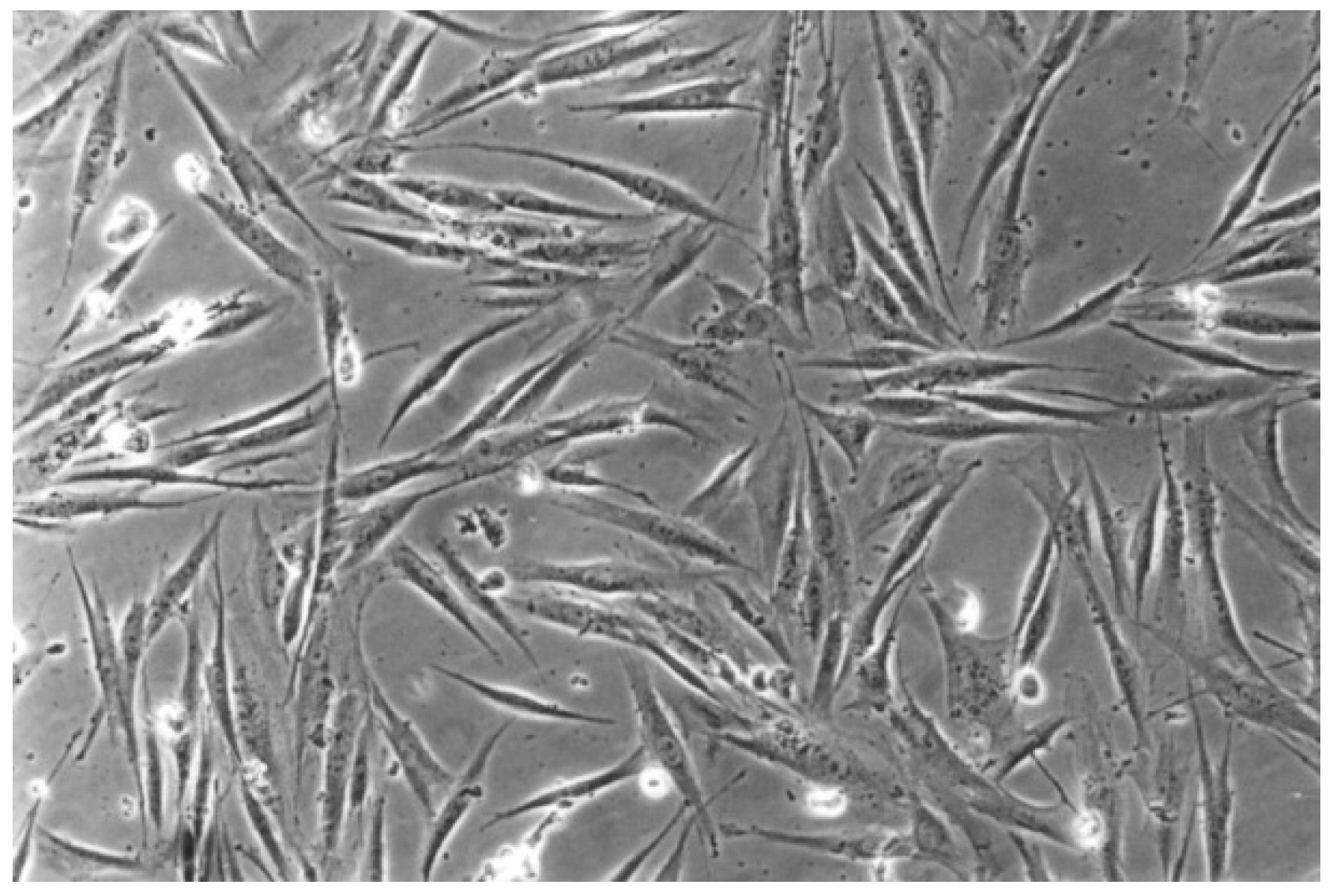 Materials 13 00452 g008 Materials 13 00452 g008