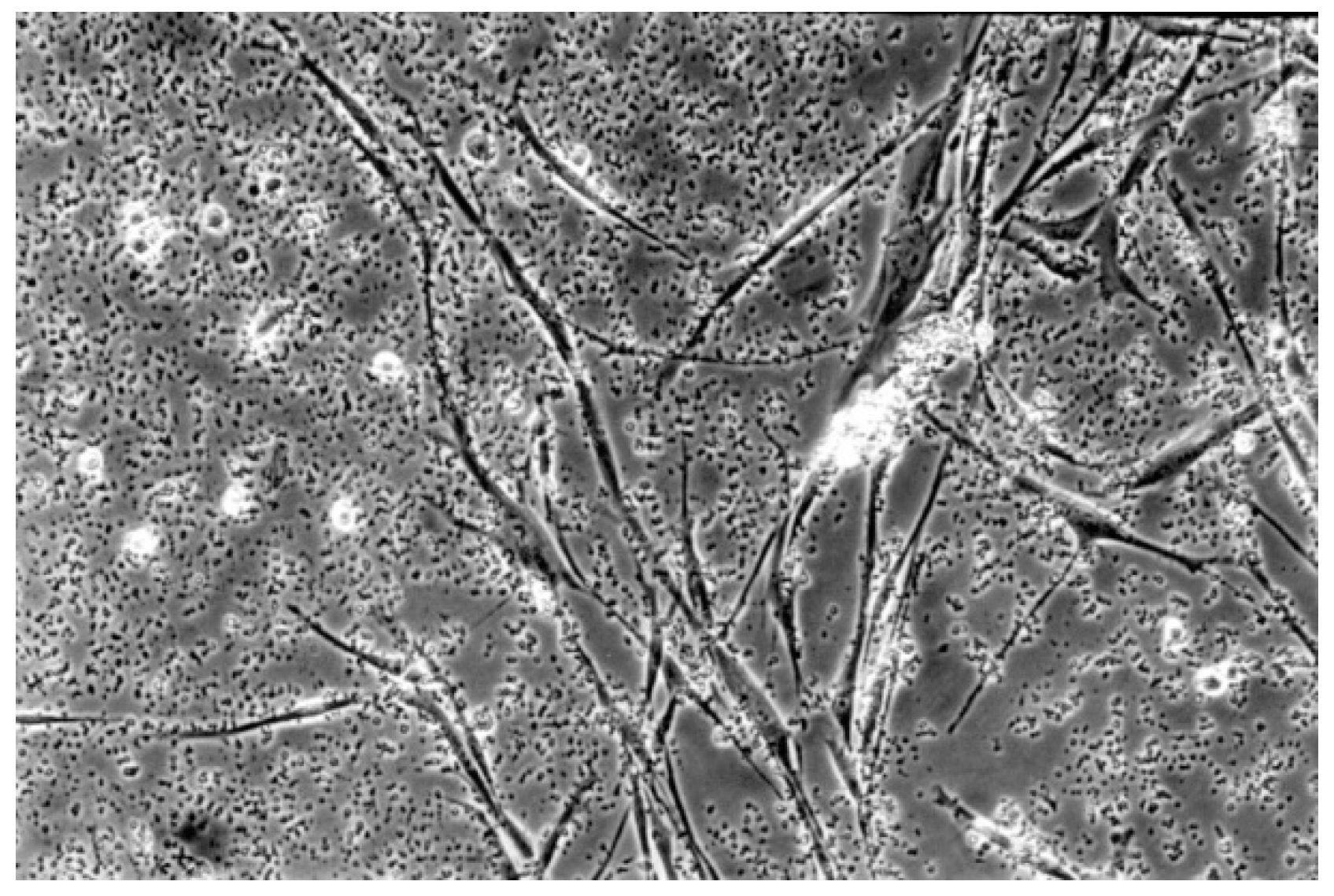 Materials 13 00452 g010 Materials 13 00452 g010