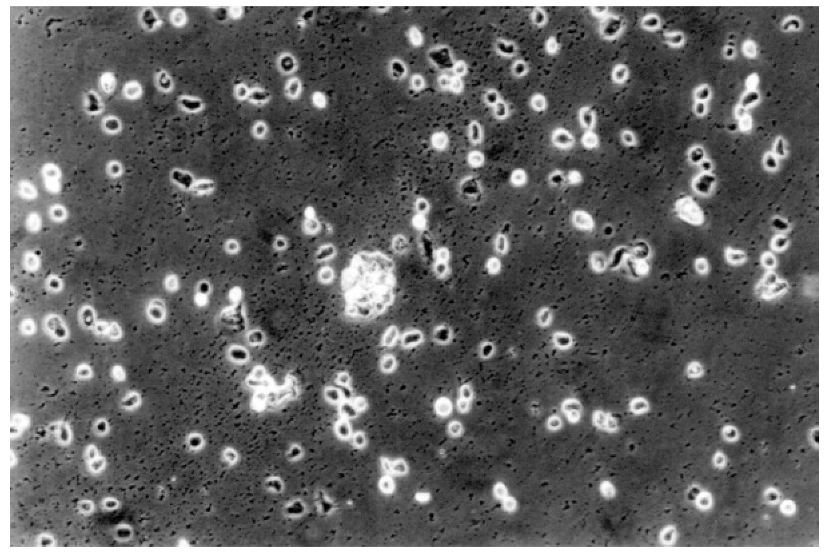 Materials 13 00452 g011 Materials 13 00452 g011