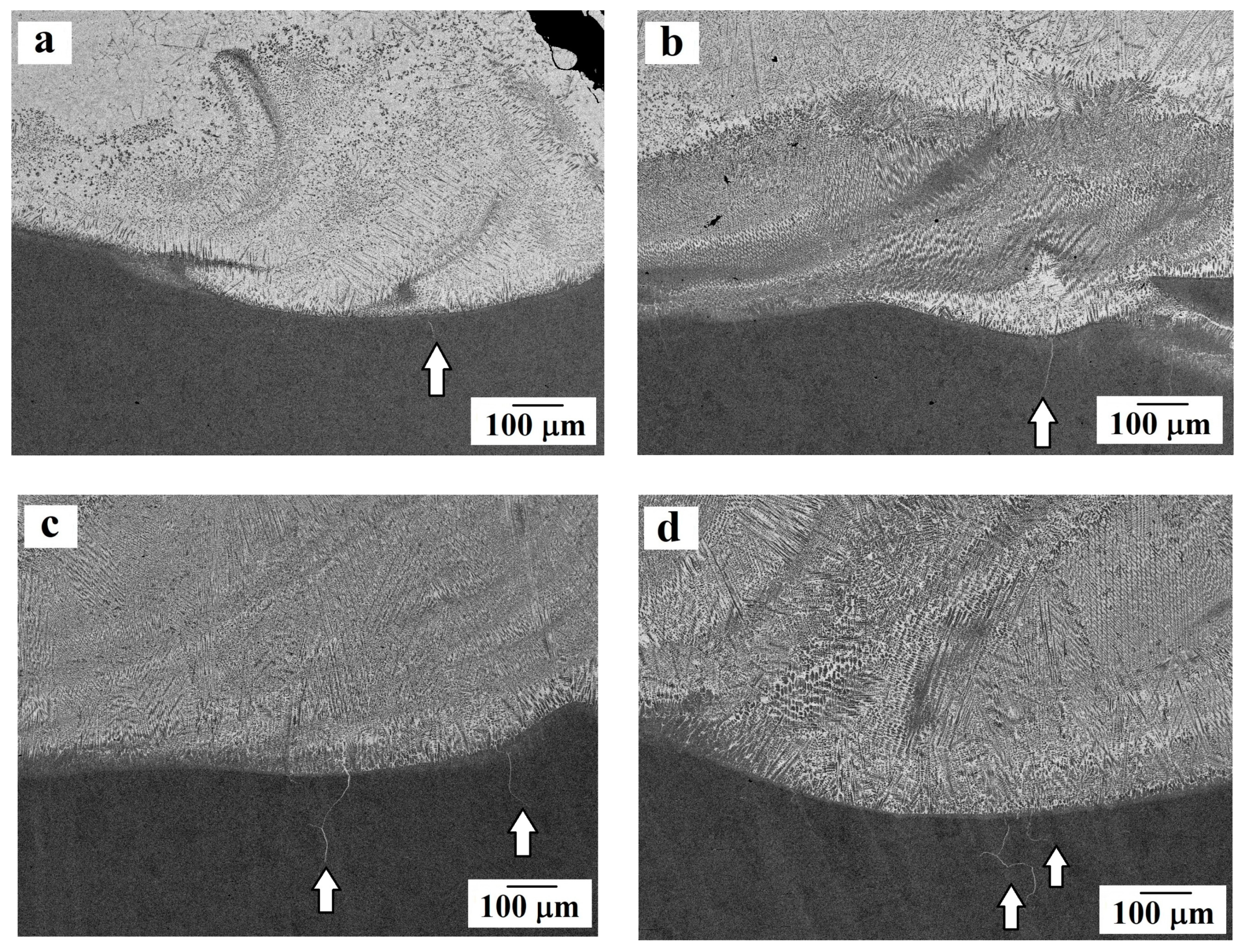 Materials 13 00461 g003