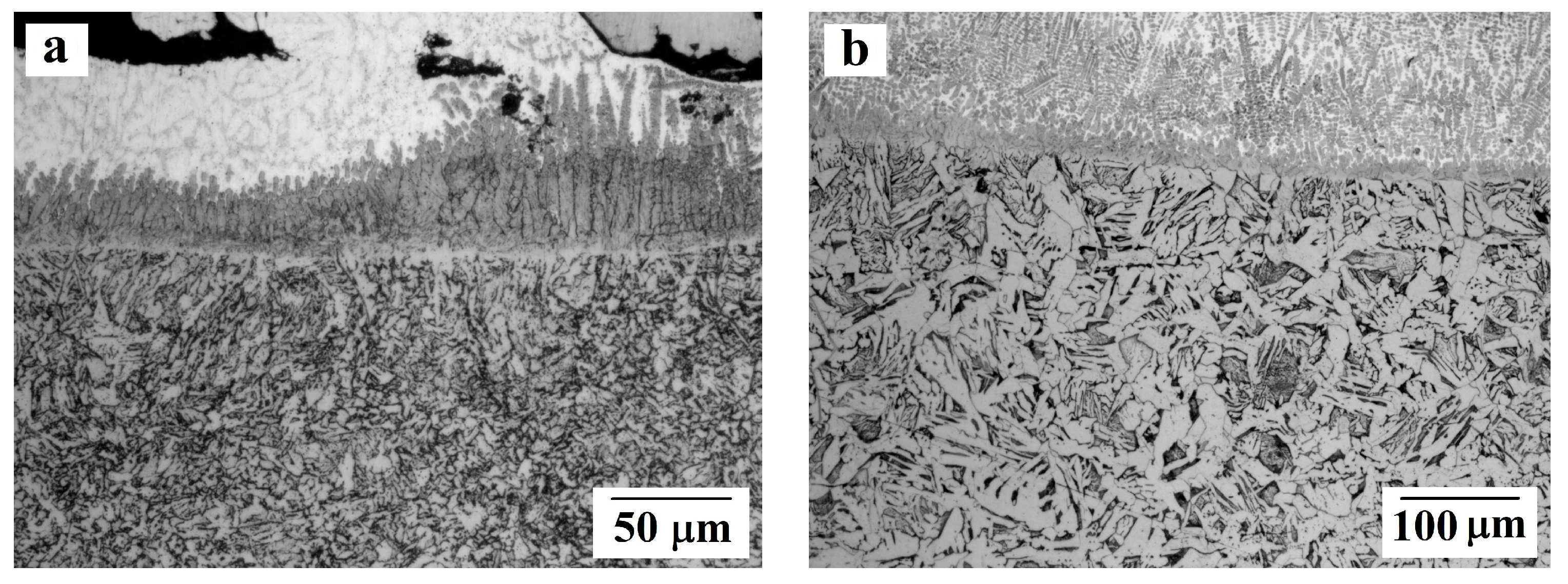 Materials 13 00461 g006