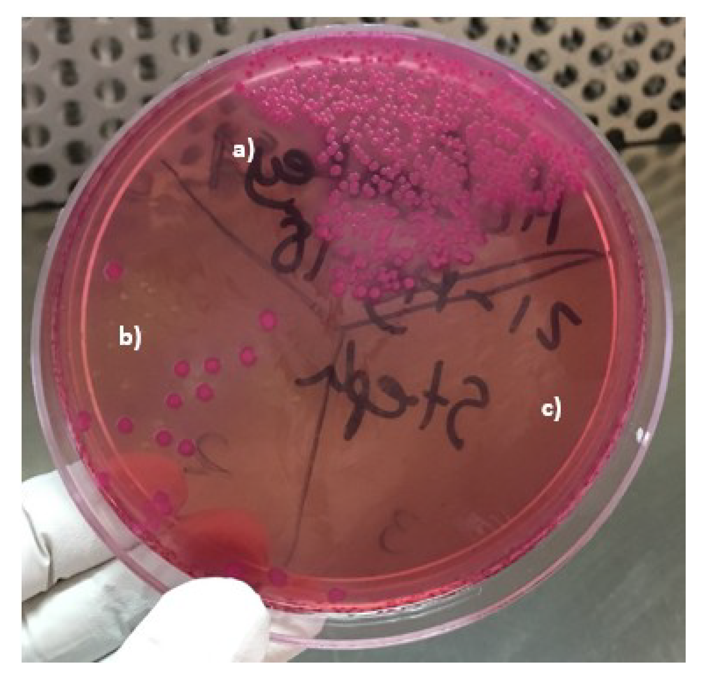 Materials 13 00462 g004