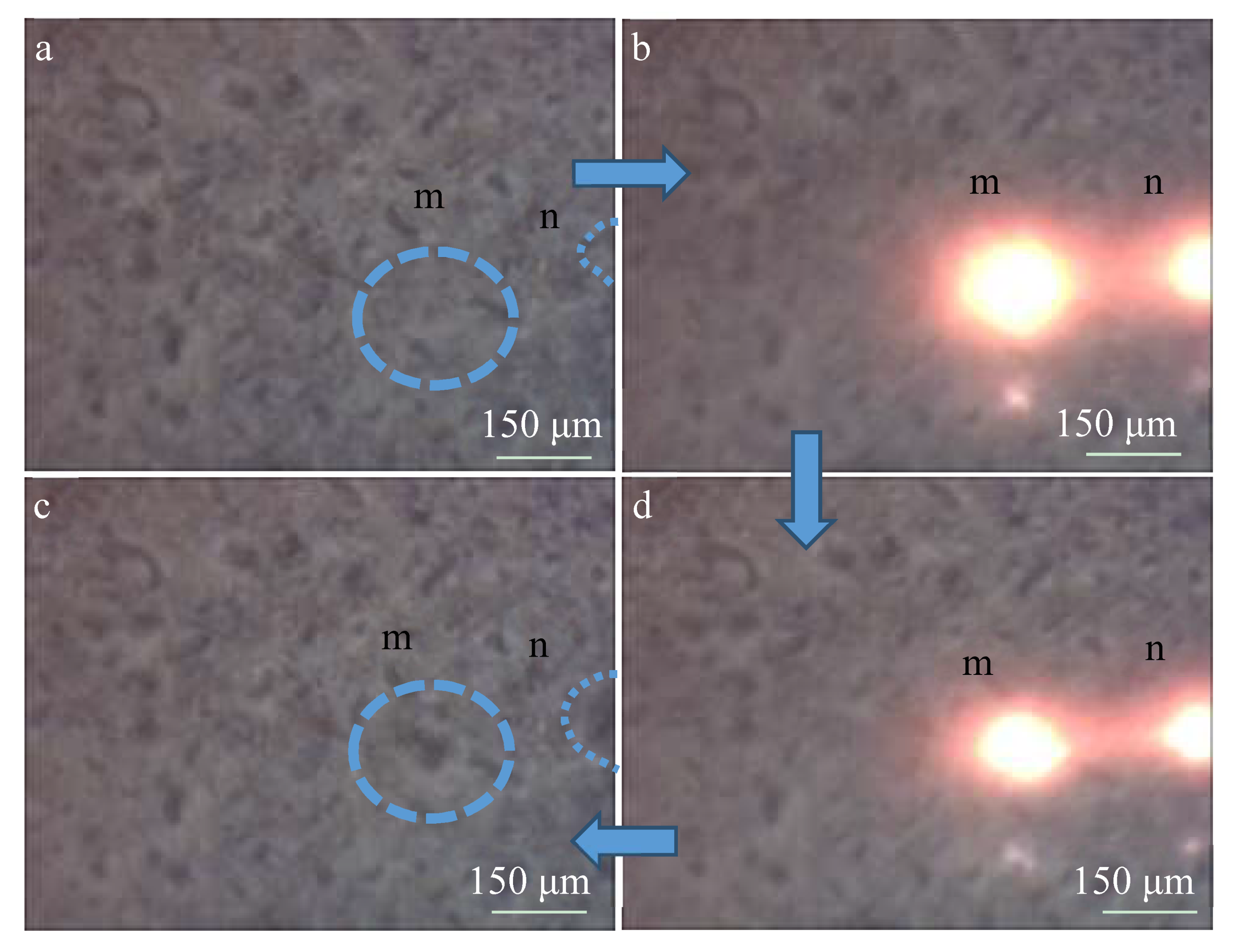 Materials 13 00464 g006