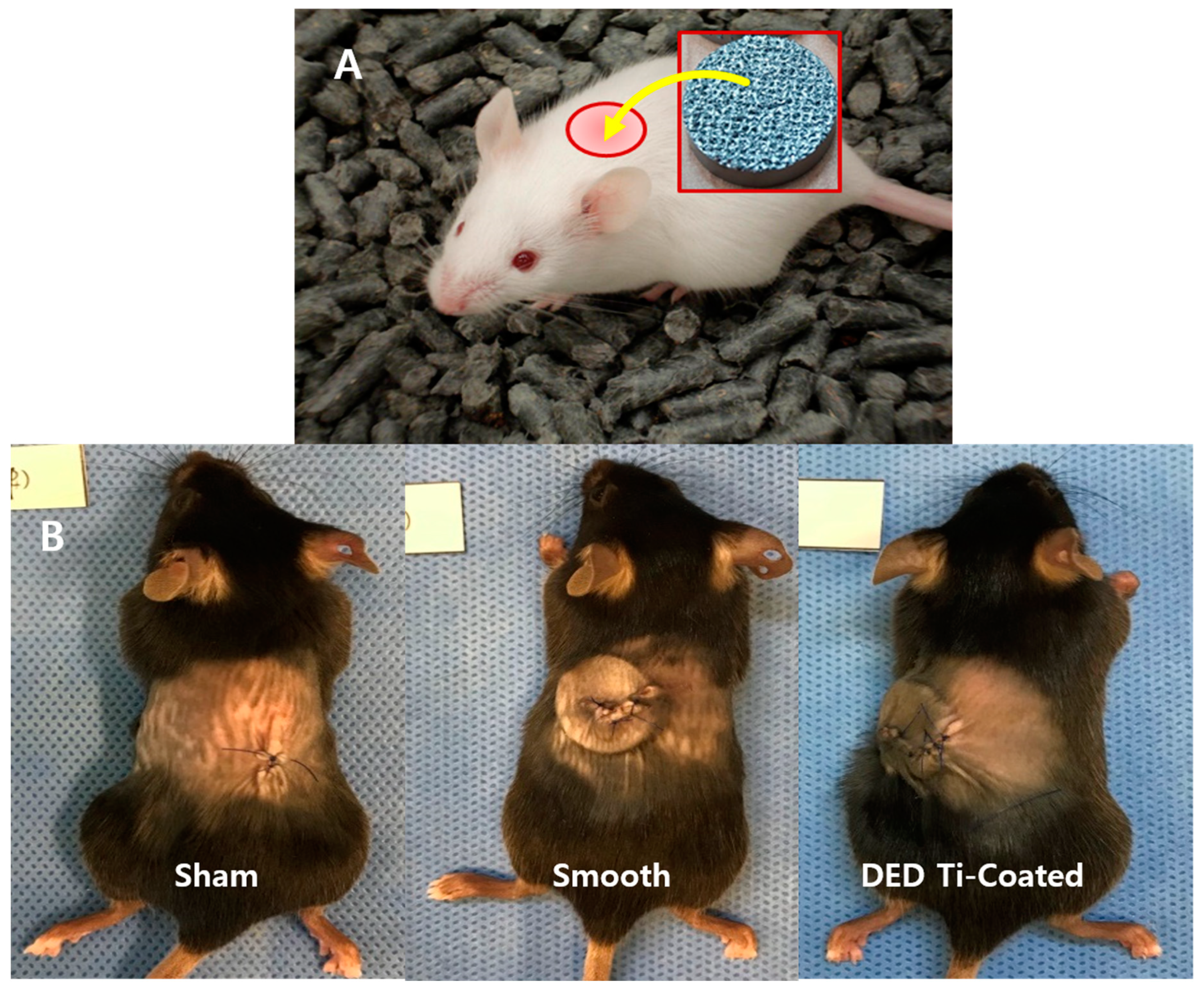 Materials 13 00472 g002