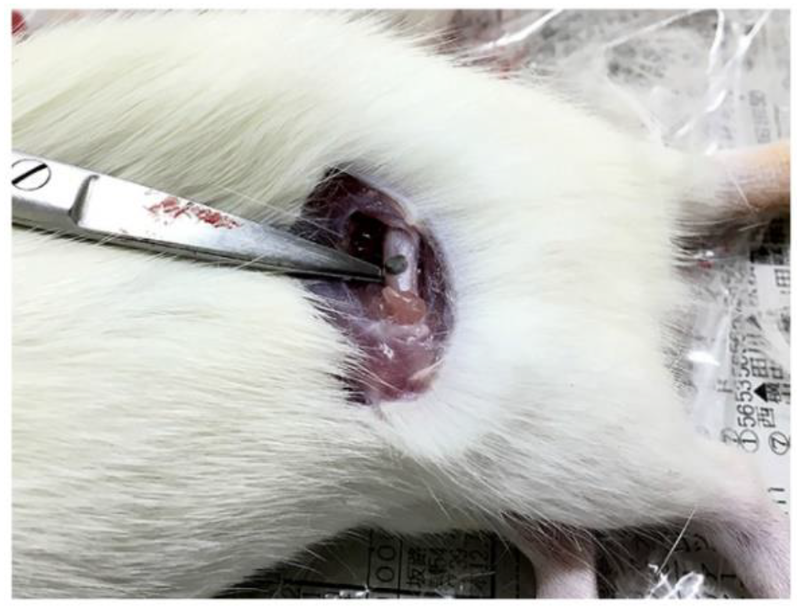 Materials 13 00473 g002 Materials 13 00473 g002