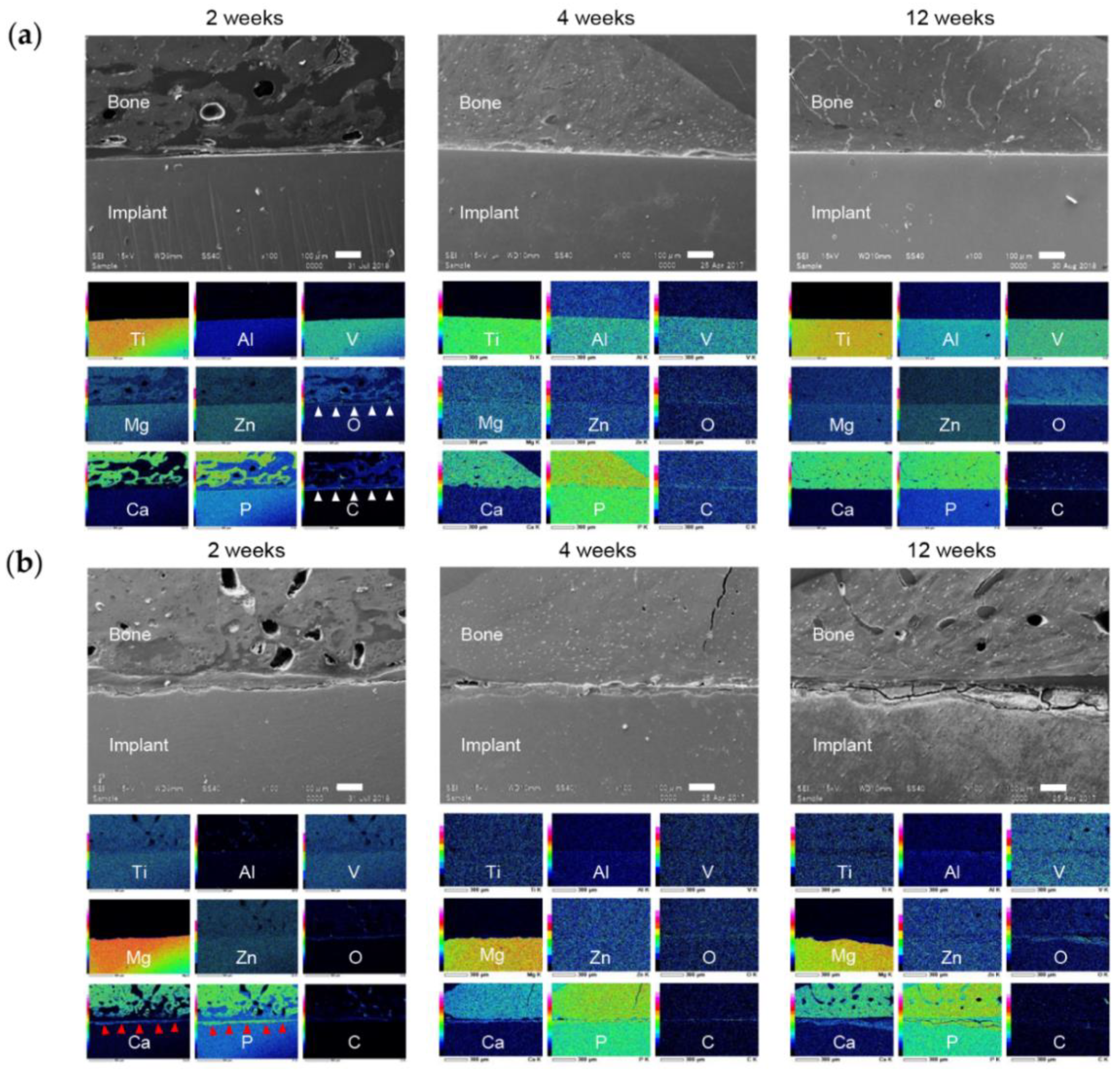 Materials 13 00473 g011 Materials 13 00473 g011