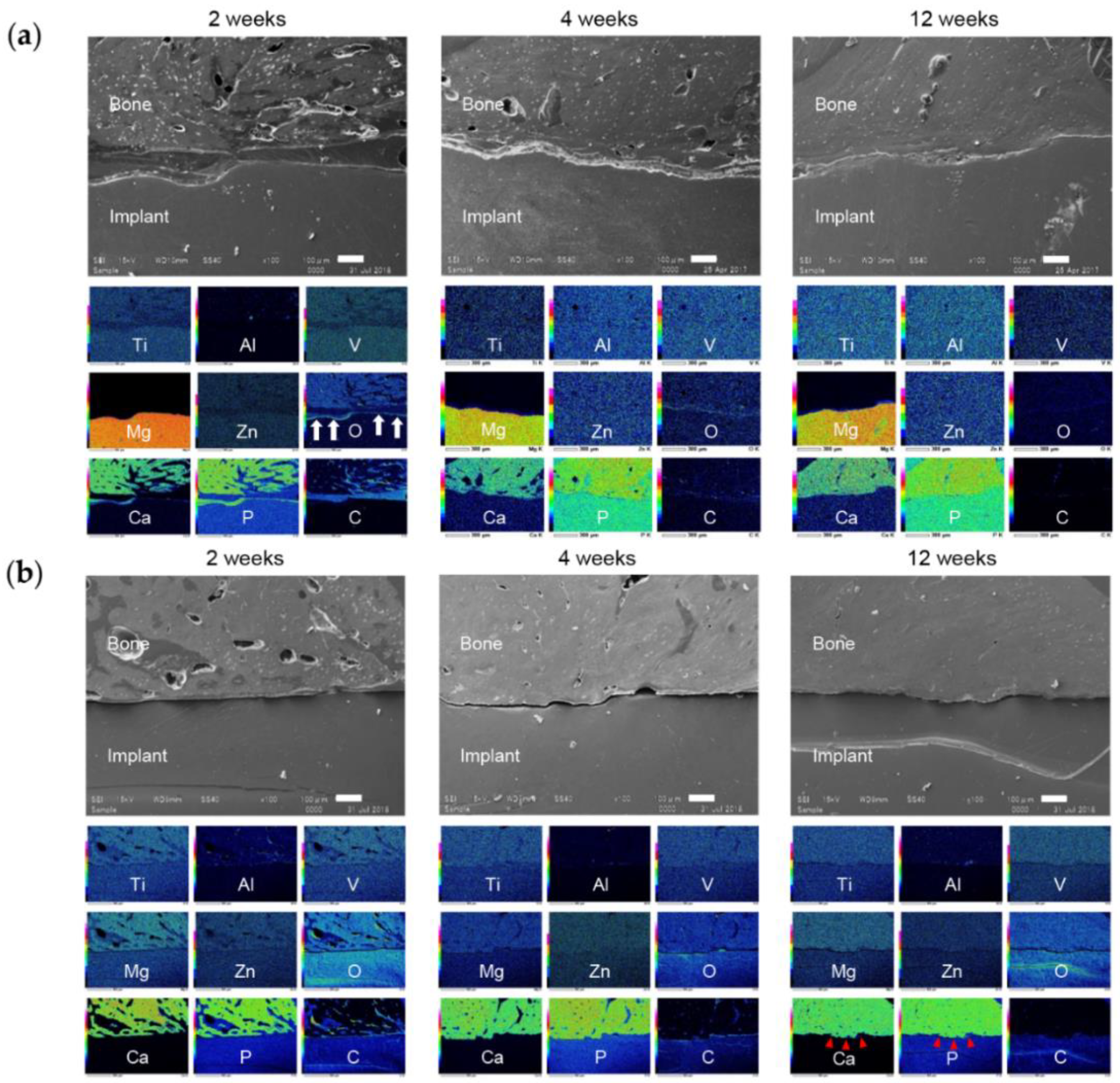 Materials 13 00473 g012 Materials 13 00473 g012