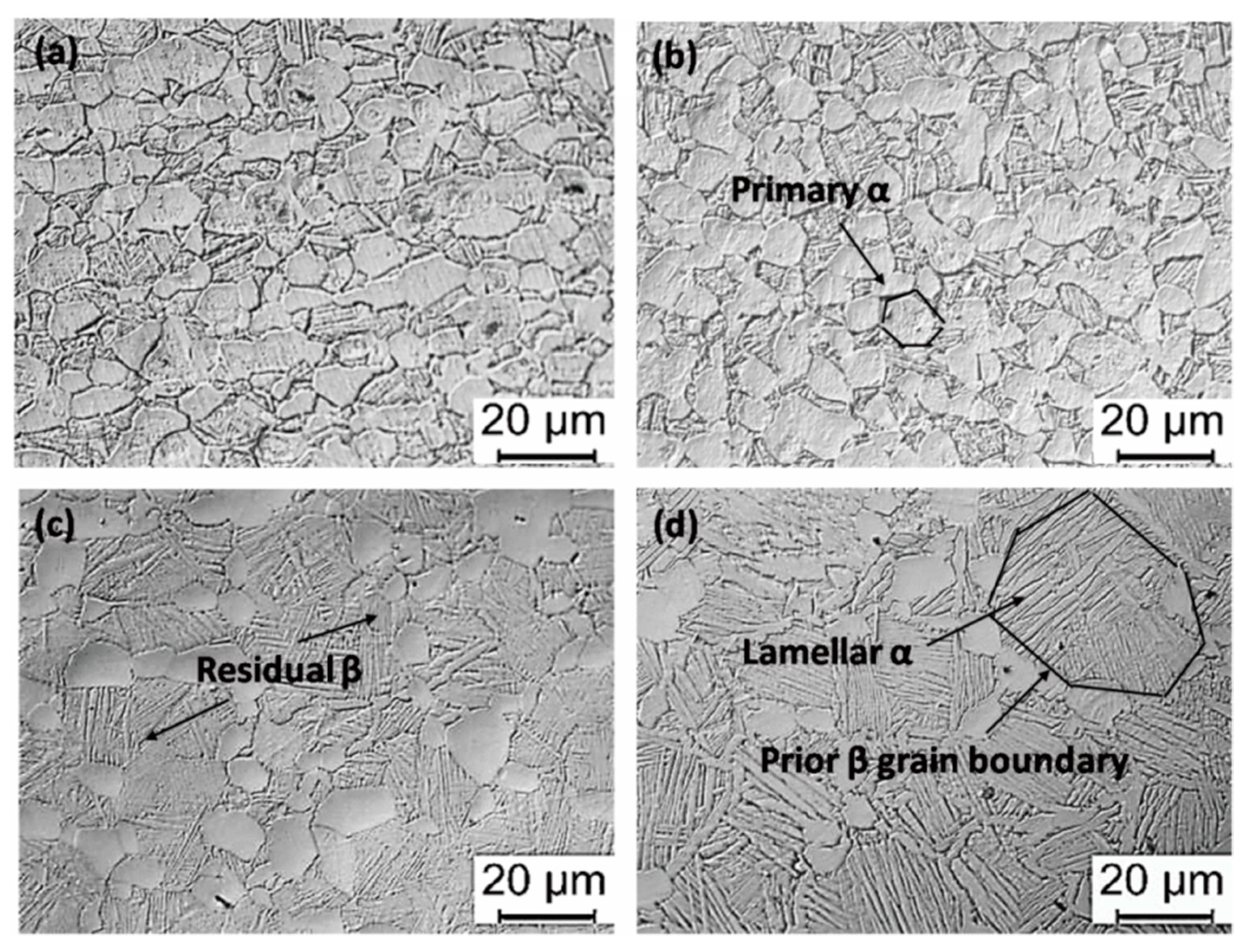 Materials 13 00478 g003 Materials 13 00478 g003