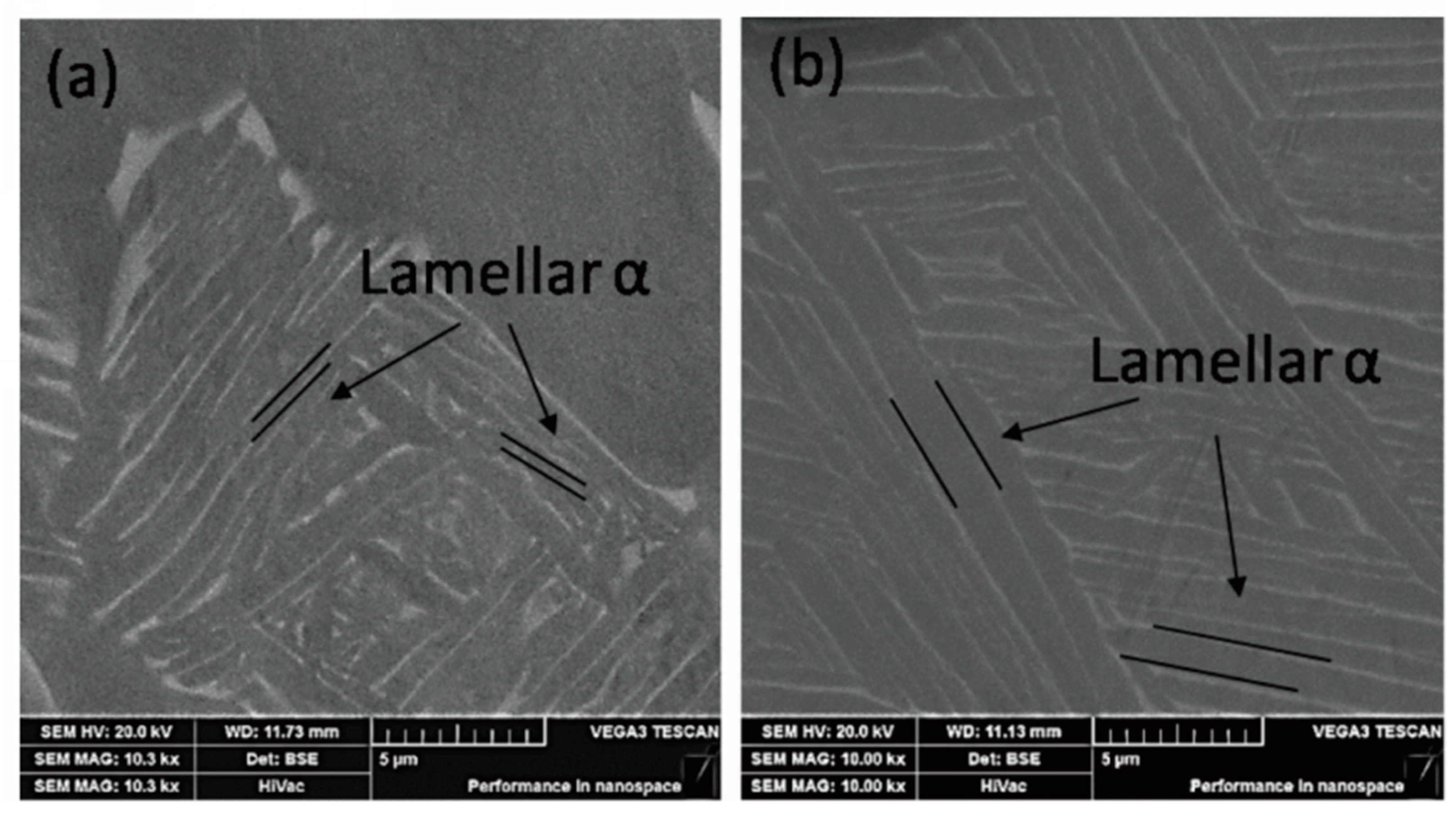 Materials 13 00478 g006 Materials 13 00478 g006
