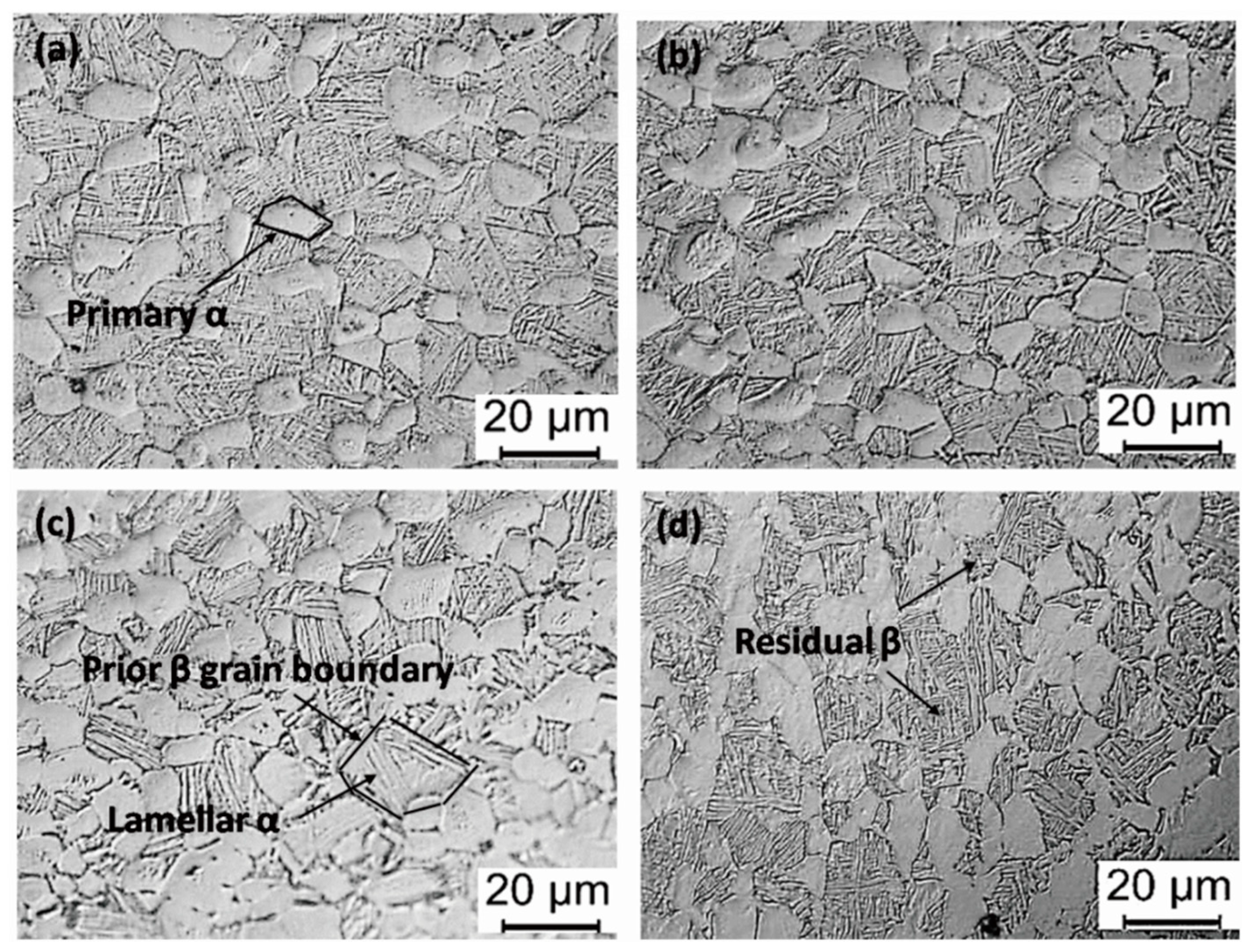 Materials 13 00478 g009 Materials 13 00478 g009