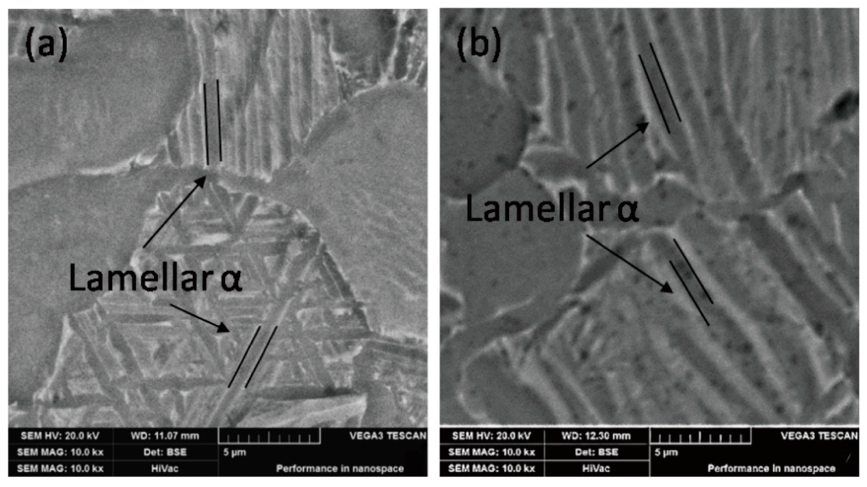 Materials 13 00478 g012 Materials 13 00478 g012