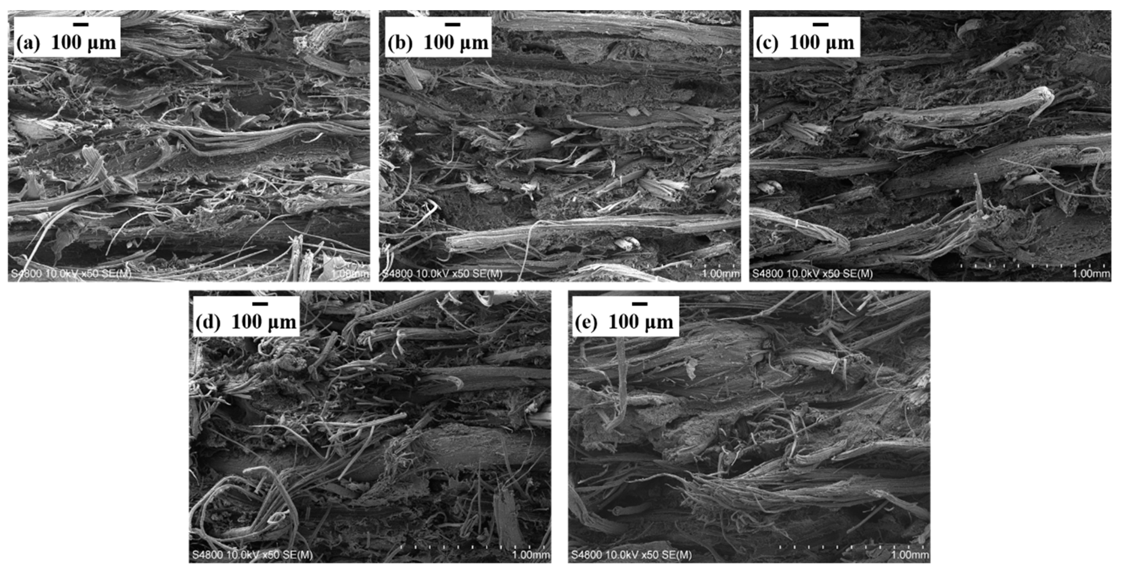 Materials 13 00479 g003