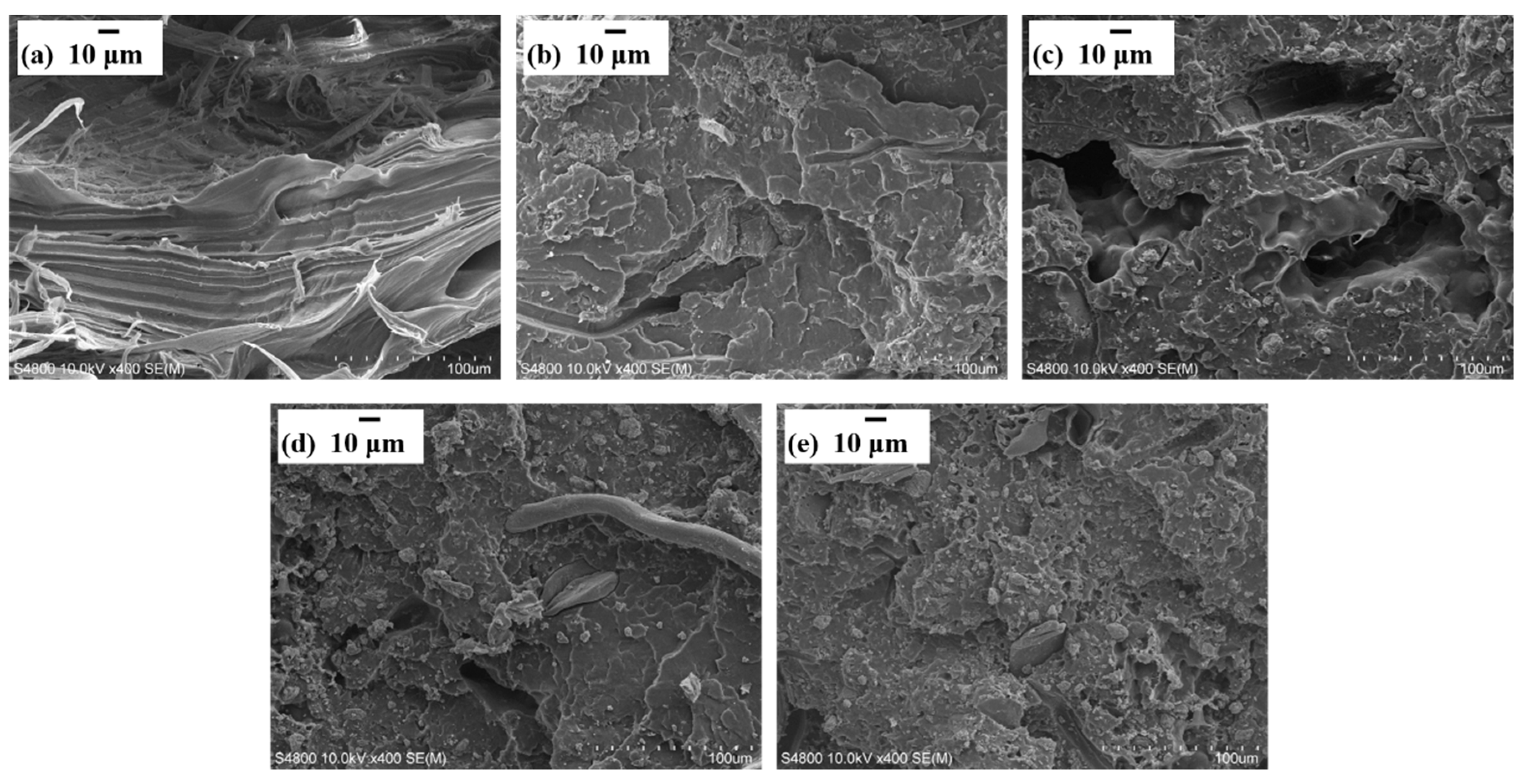 Materials 13 00479 g004