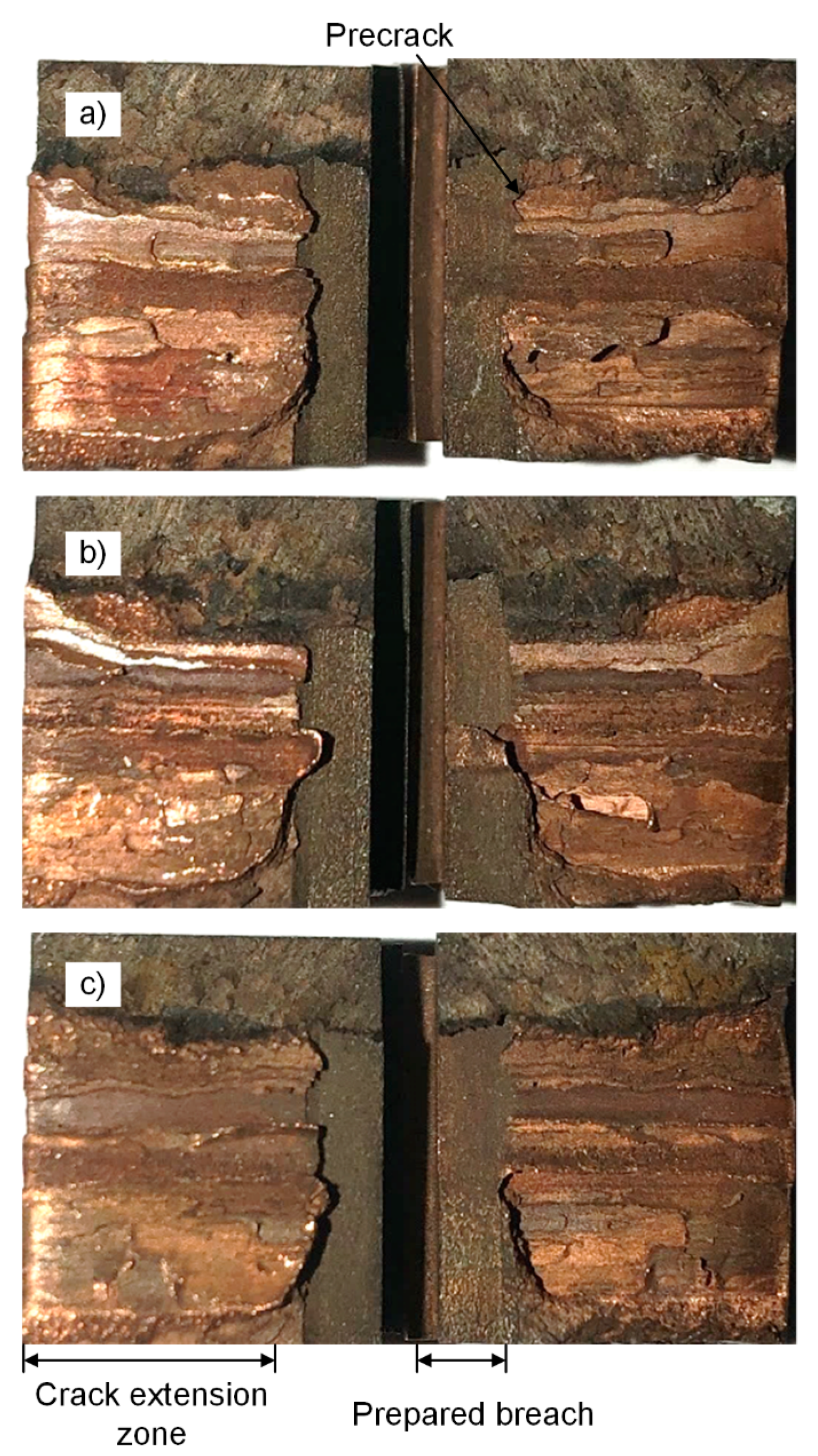 Materials 13 00488 g010 Materials 13 00488 g010