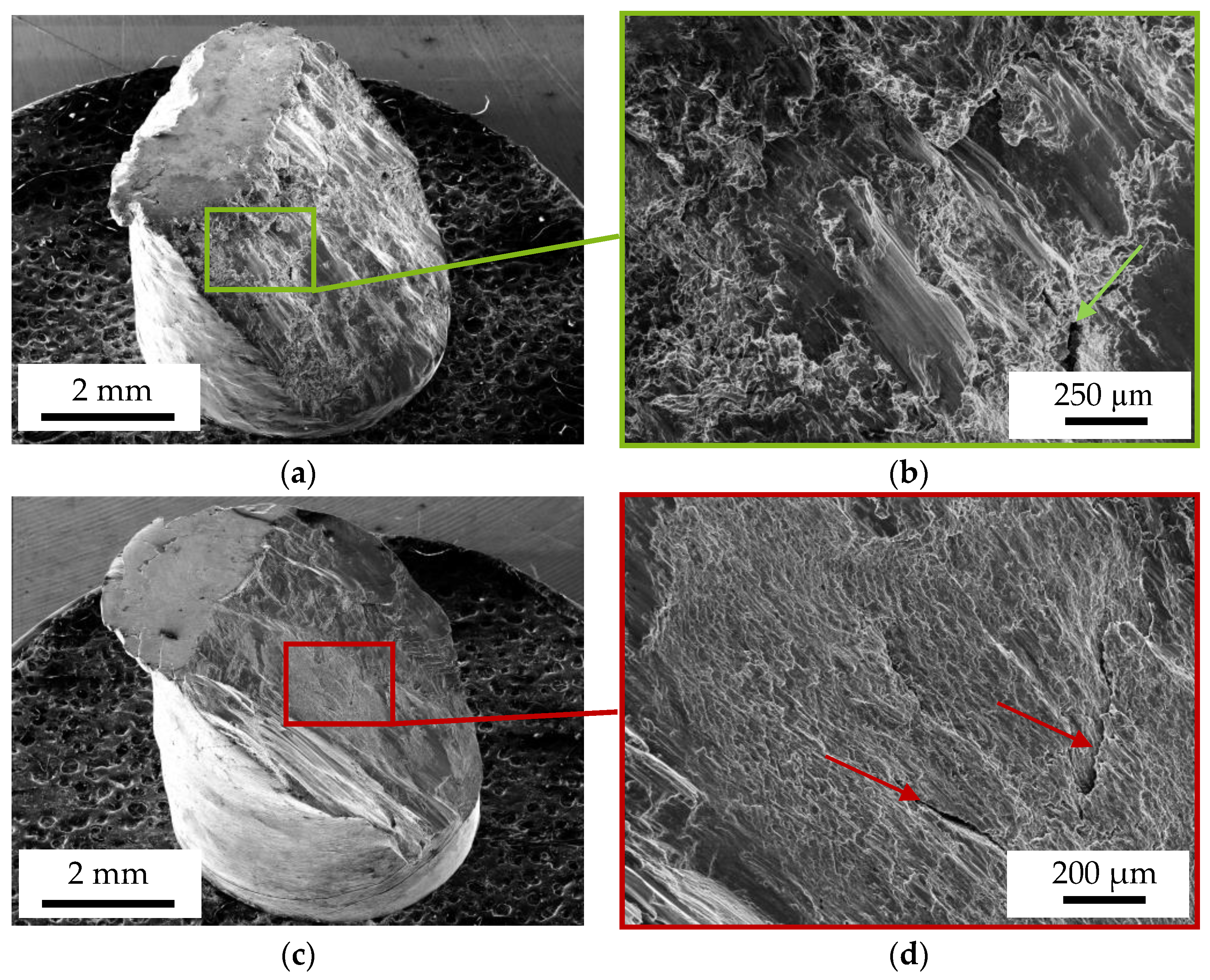 Materials 13 00497 g010