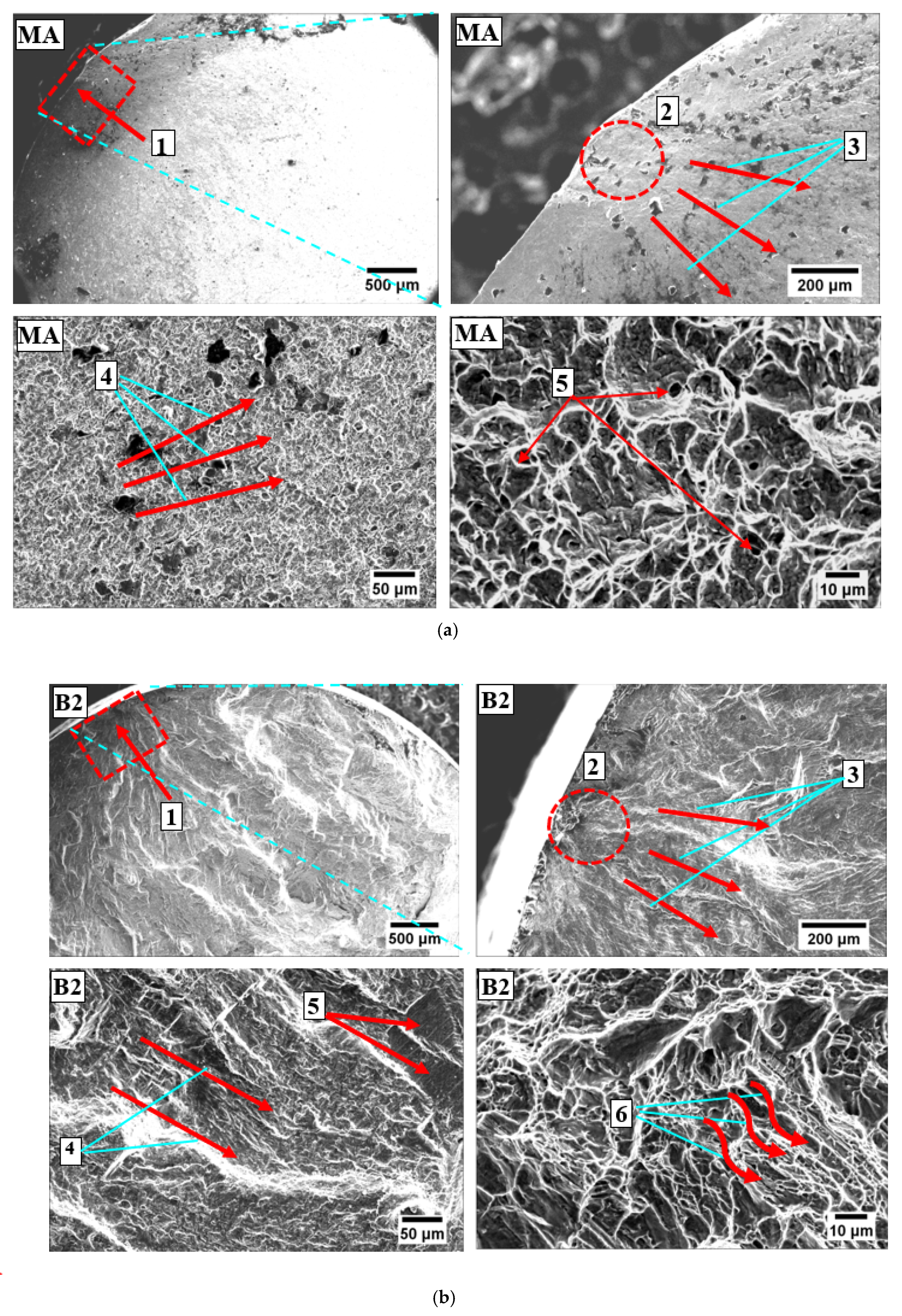 Materials 13 00500 g005