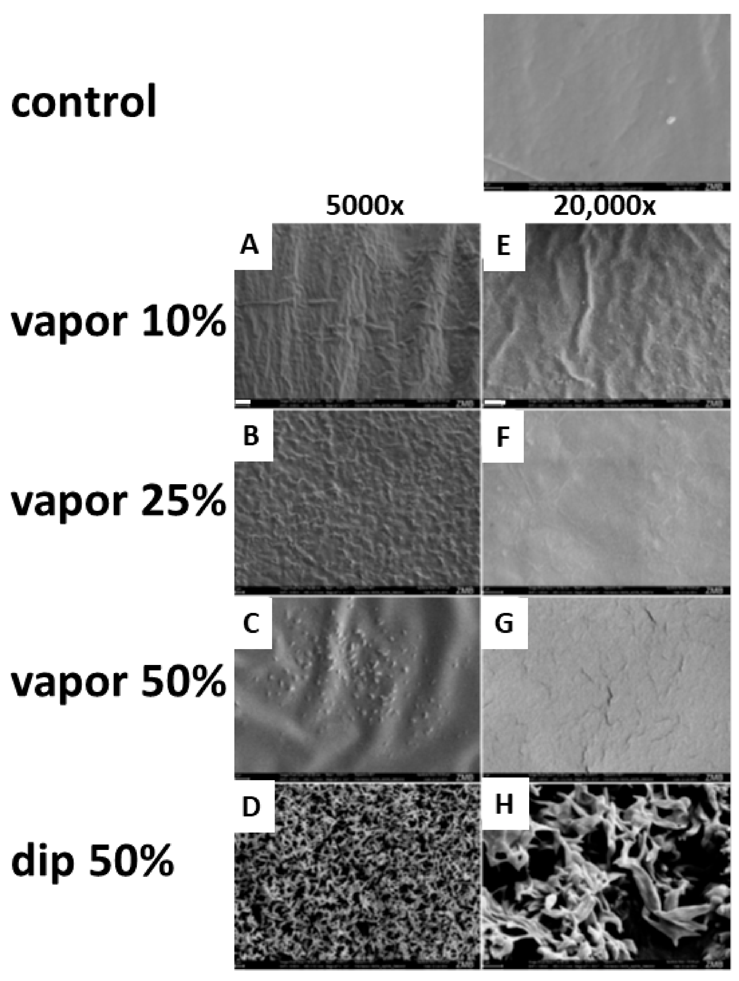 Materials 13 00501 g003 Materials 13 00501 g003