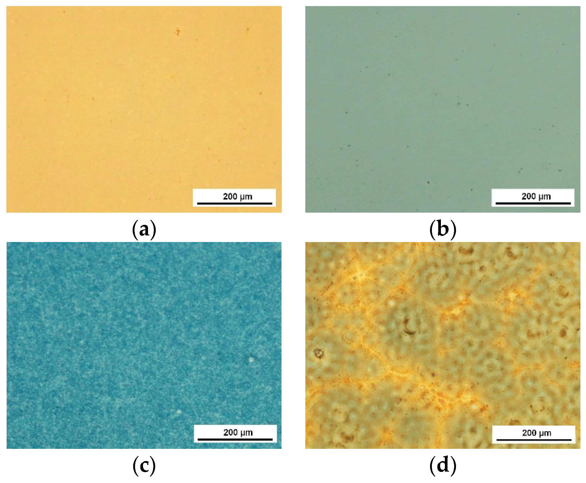 Materials 13 00502 g002