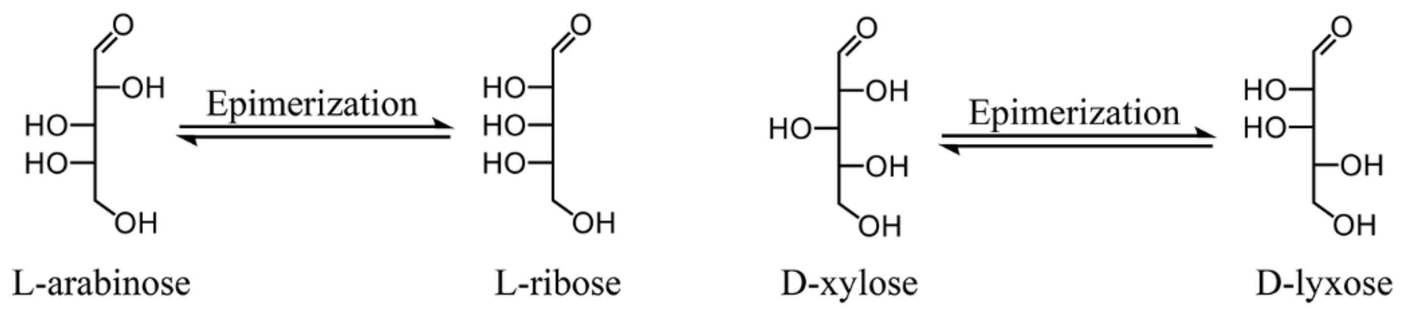 Materials 13 00507 sch002 Materials 13 00507 sch002