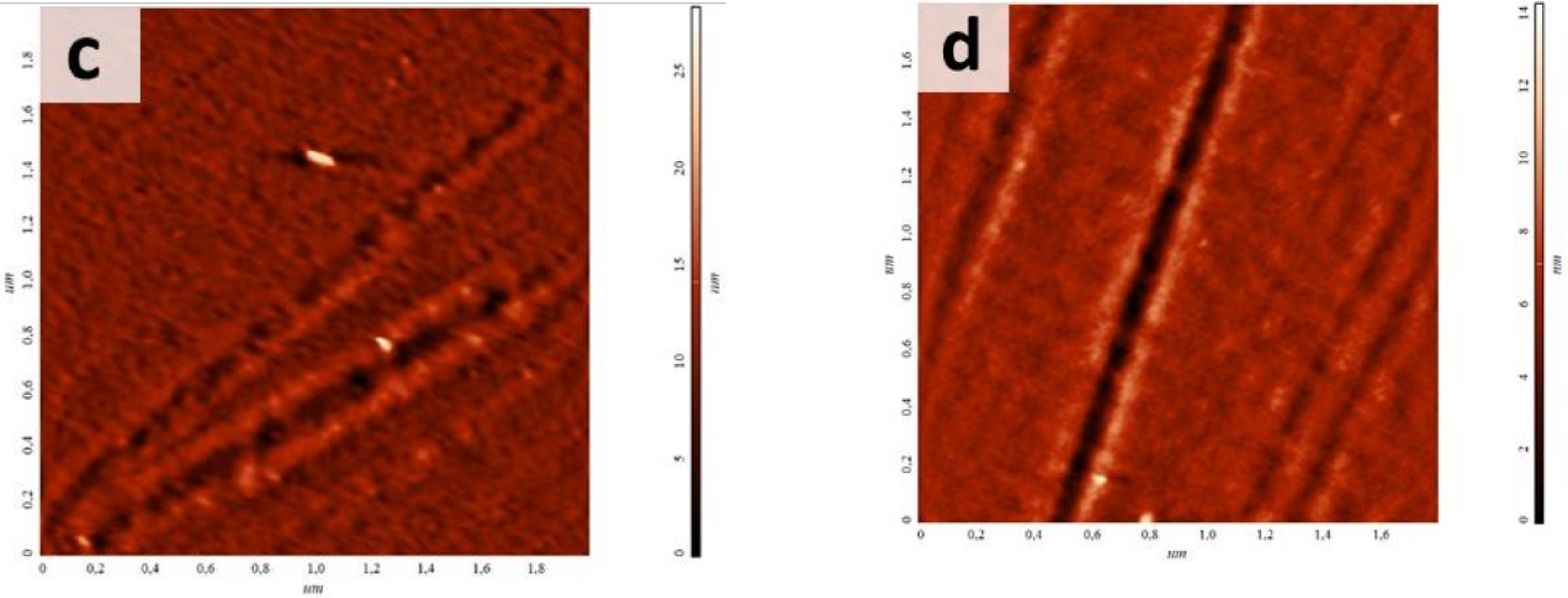Materials 13 00508 g002b Materials 13 00508 g002b